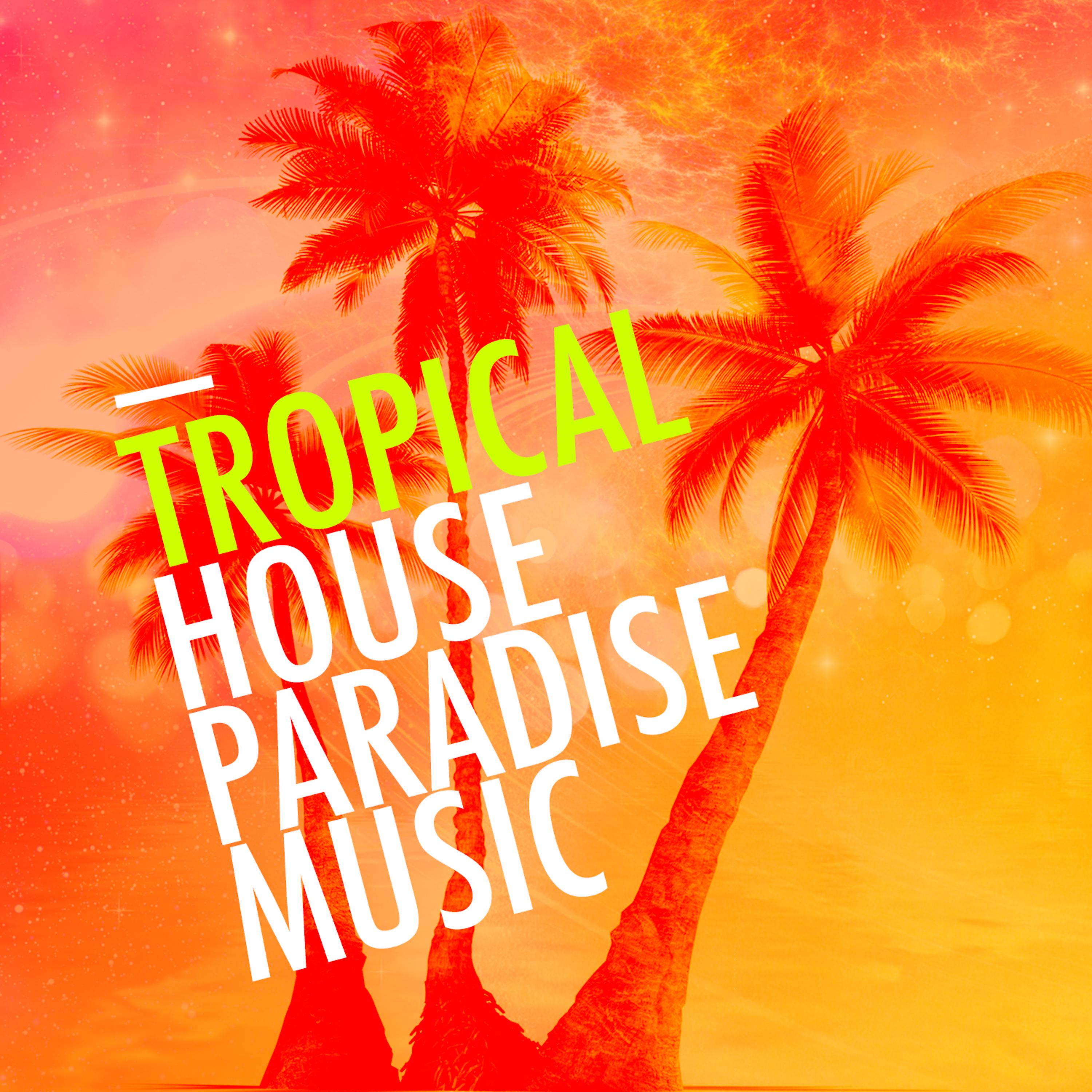 Постер альбома Tropical House Paradise Music