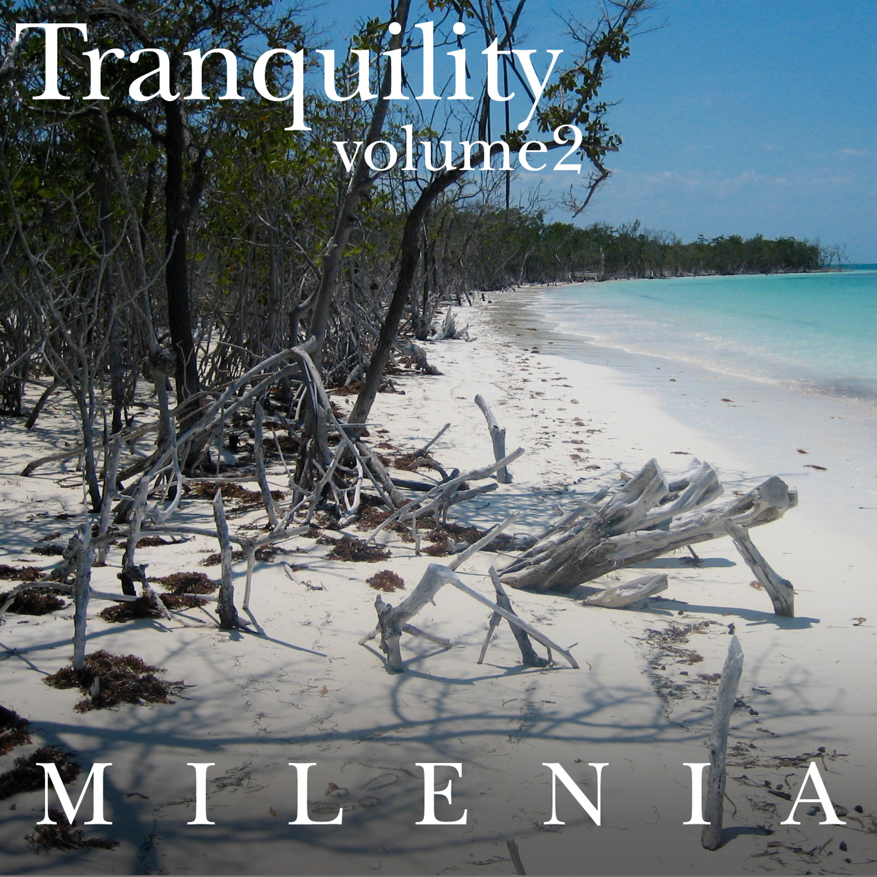 Постер альбома Tranquility Vol 2