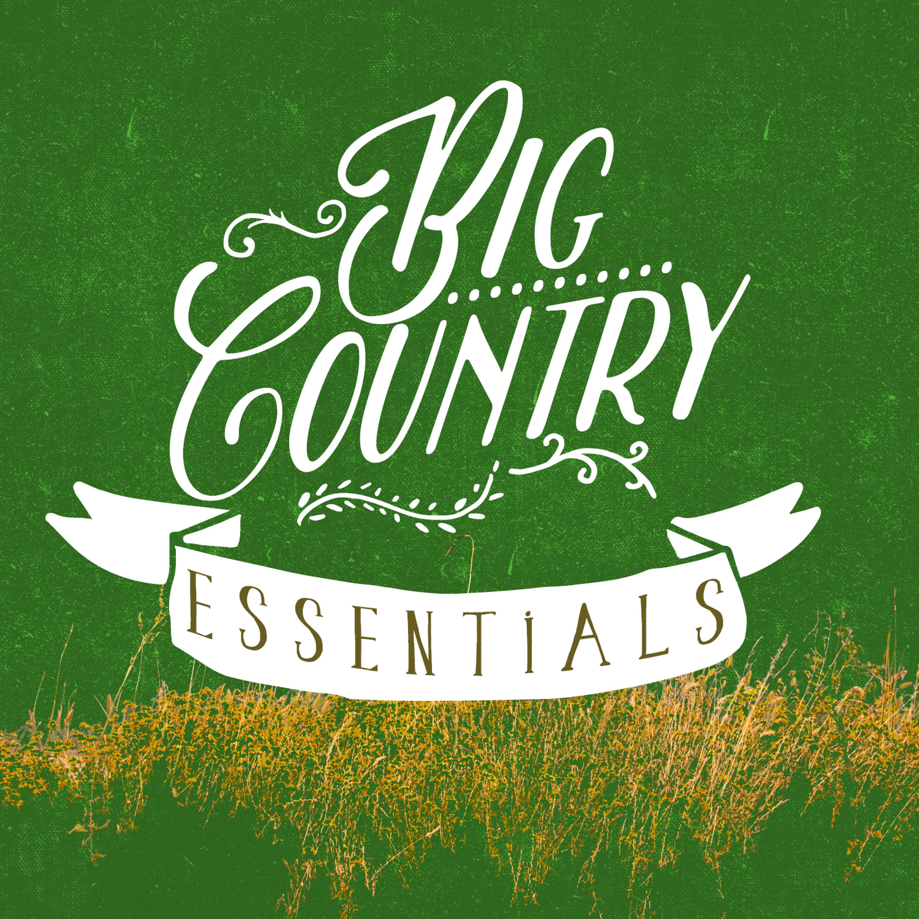 Постер альбома Big Country Essentials