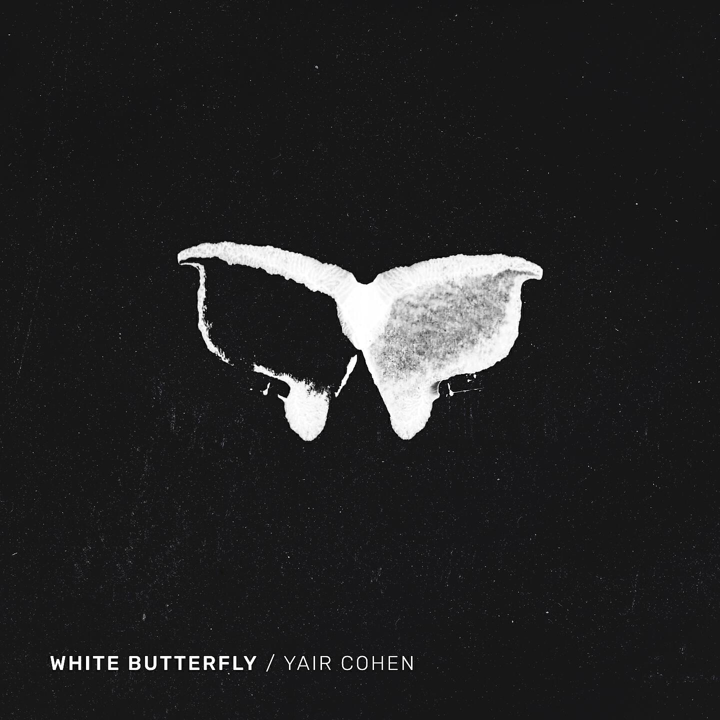 Yair Cohen - White Butterfly