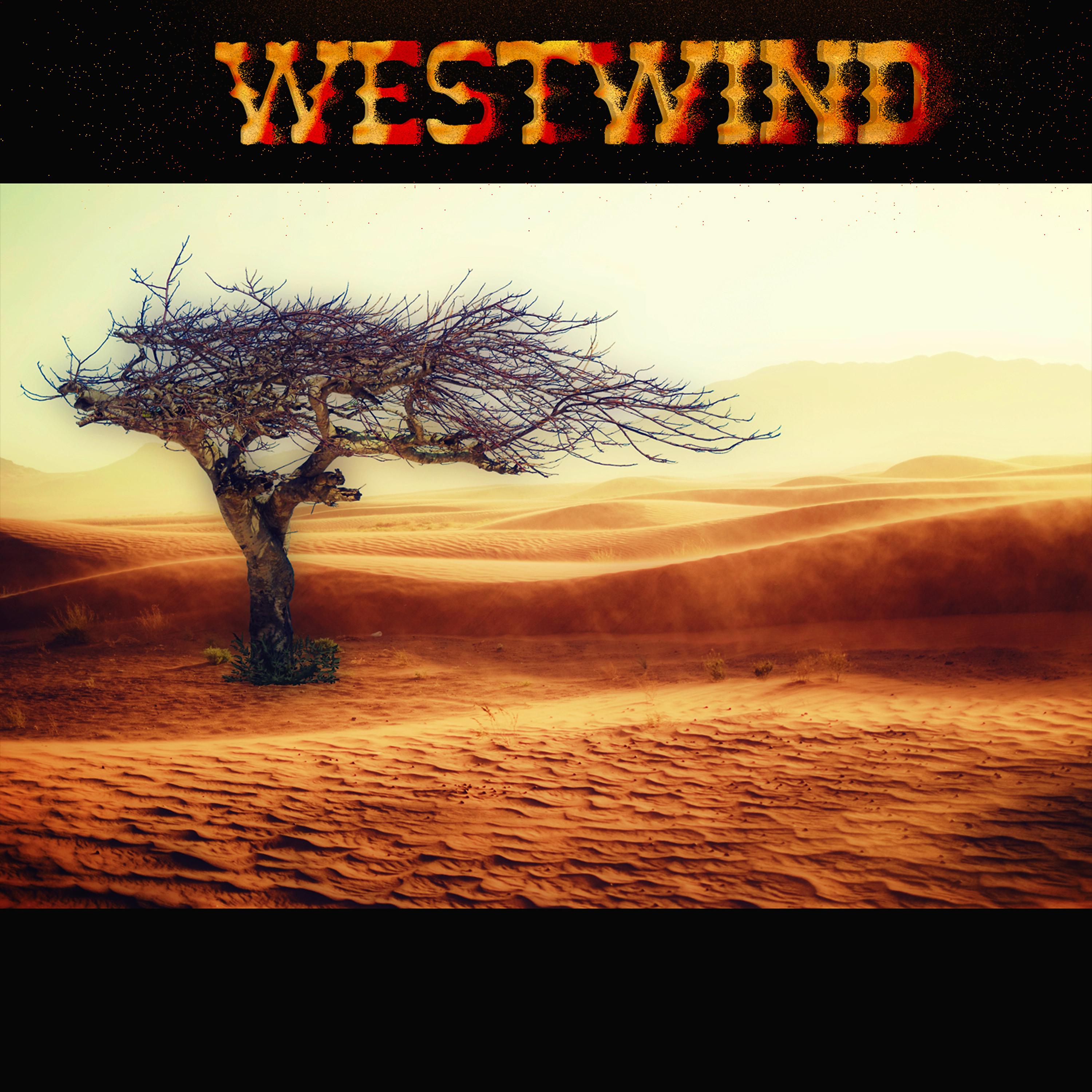 Постер альбома Westwind (Instrumental)