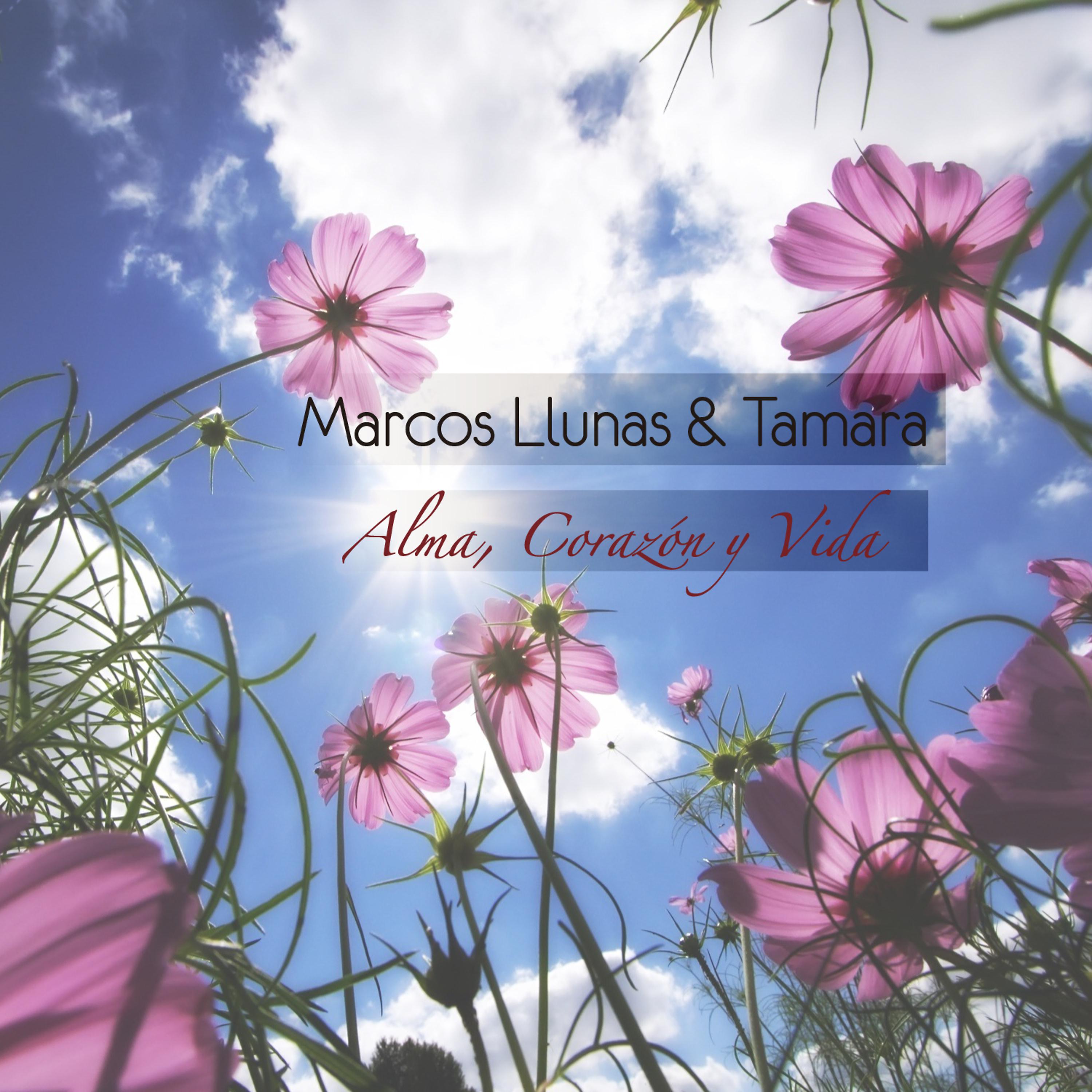 Постер альбома Alma, Corazón y Vida