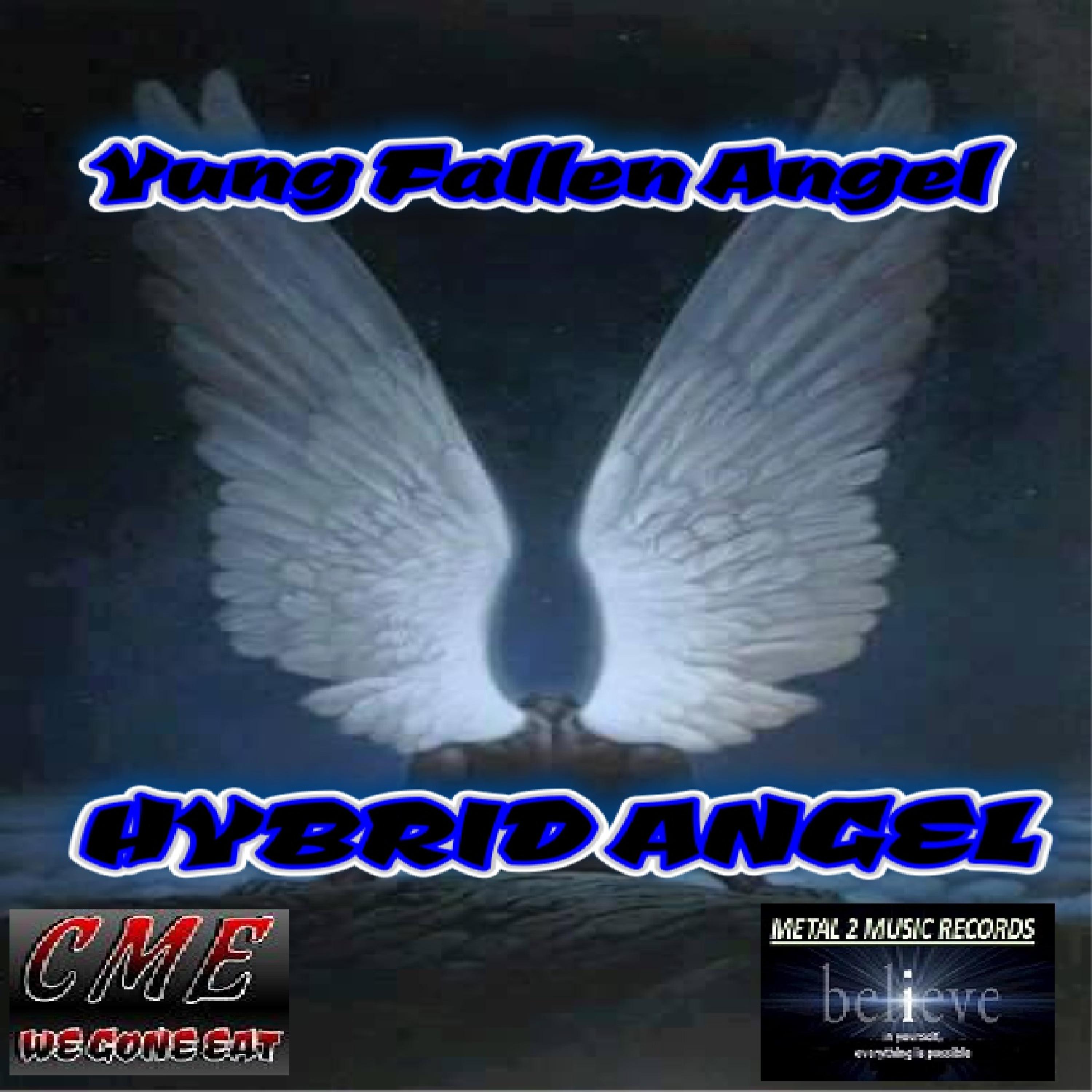 Постер альбома Hybrid Angel