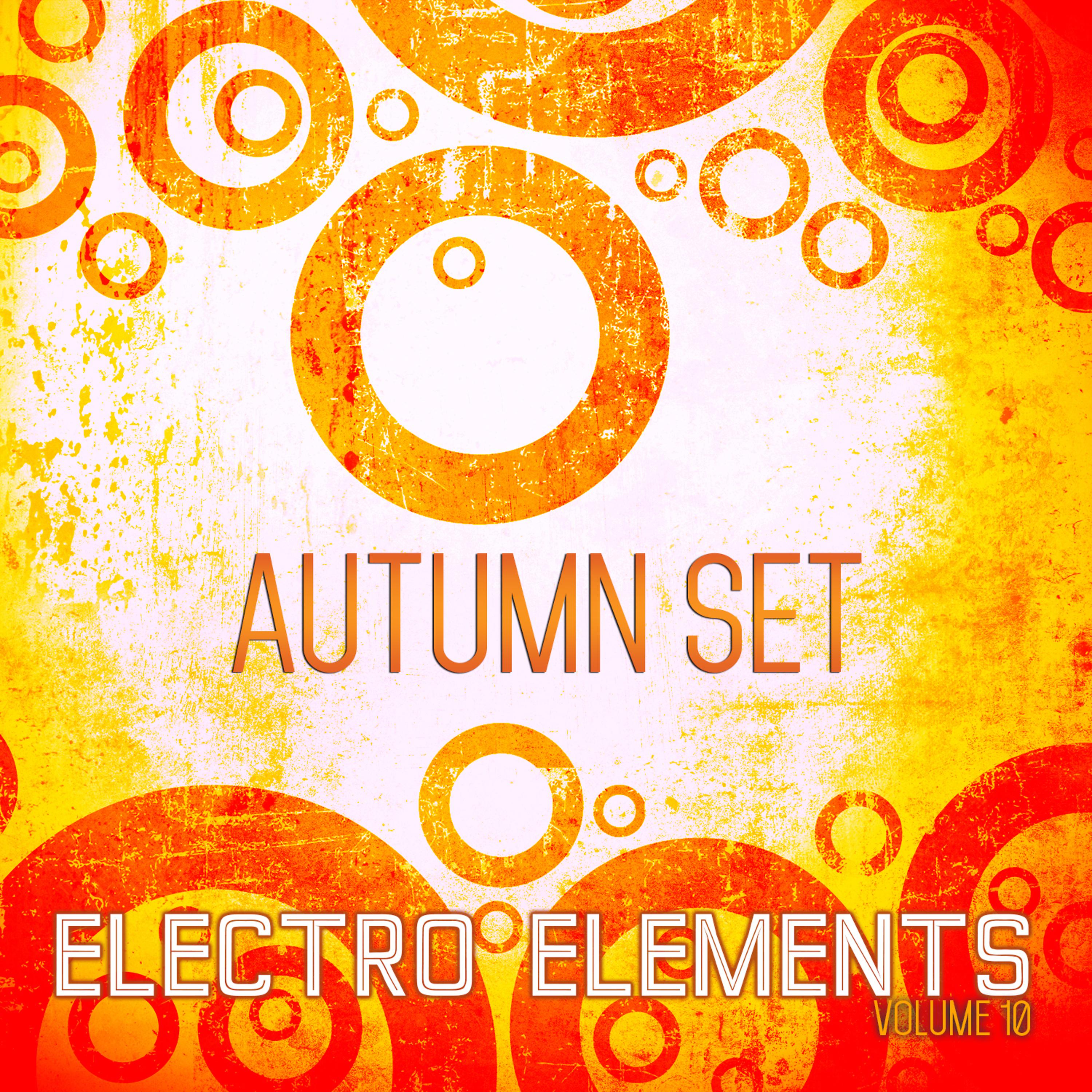 Постер альбома Electro Elements: Autumn, Vol. 10