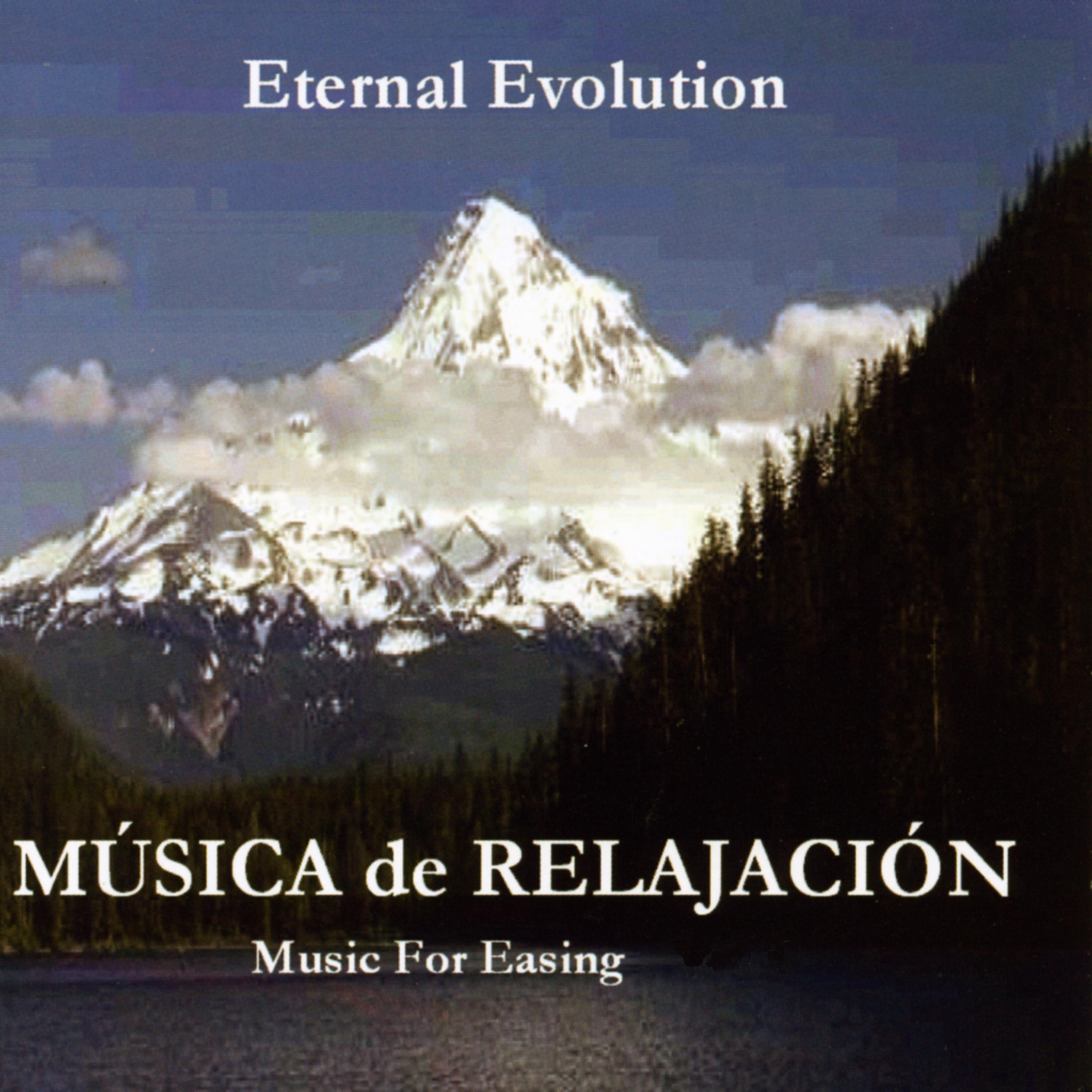 Постер альбома Music For Easing: Eternal Evolution
