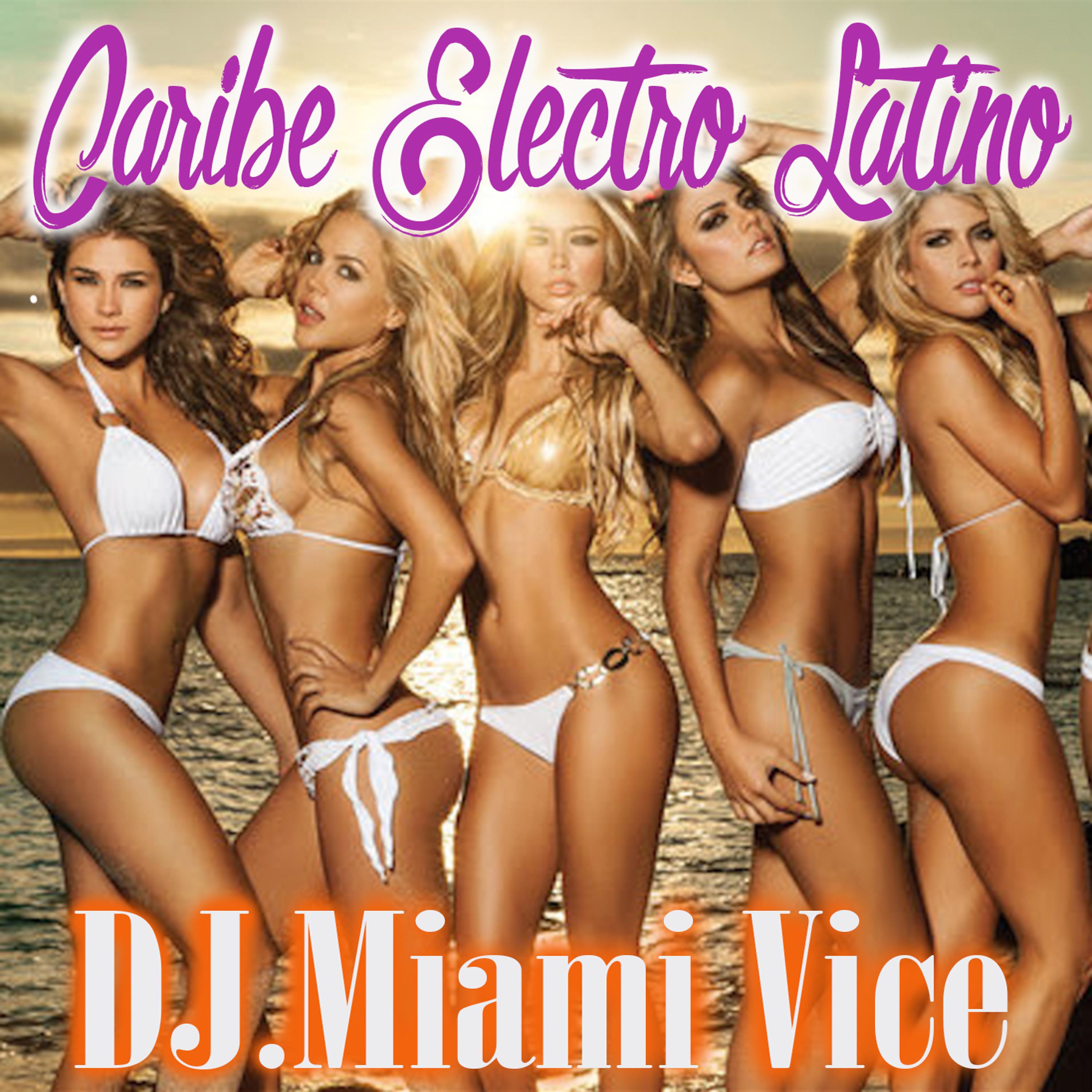 Постер альбома Caribe Electro Latino - Dj Miami Vice