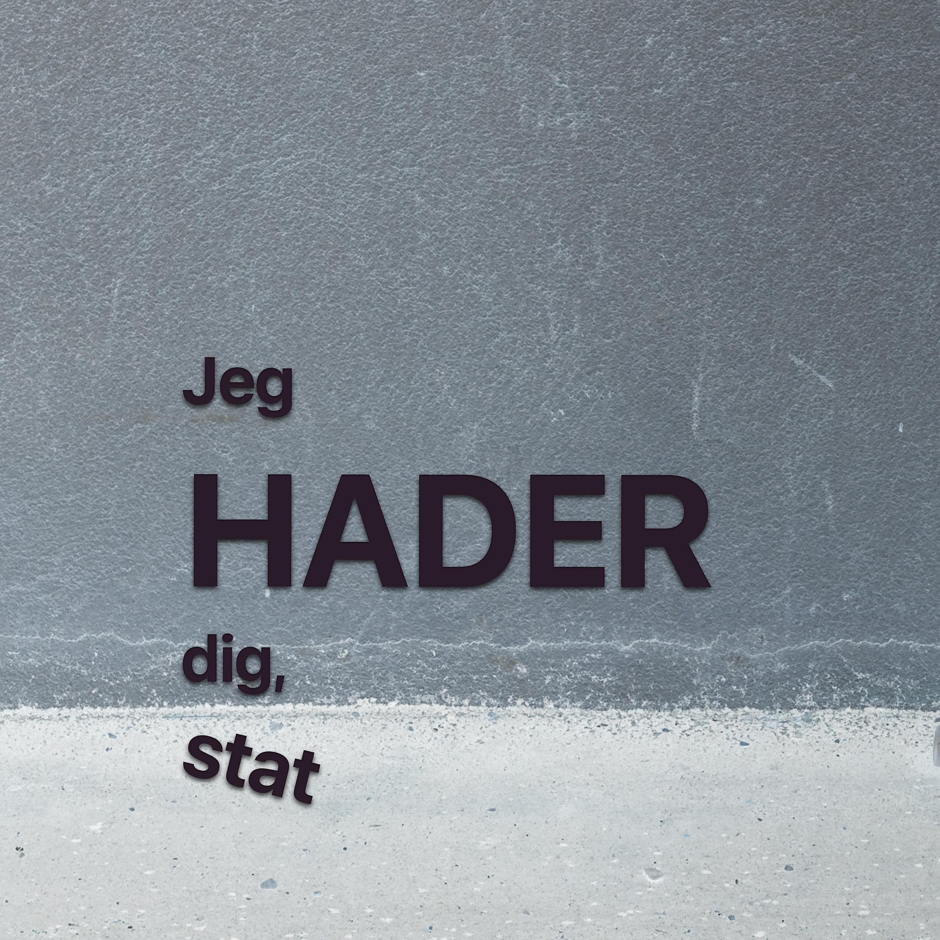 Постер альбома Jeg hader dig, stat (Radio Edit)
