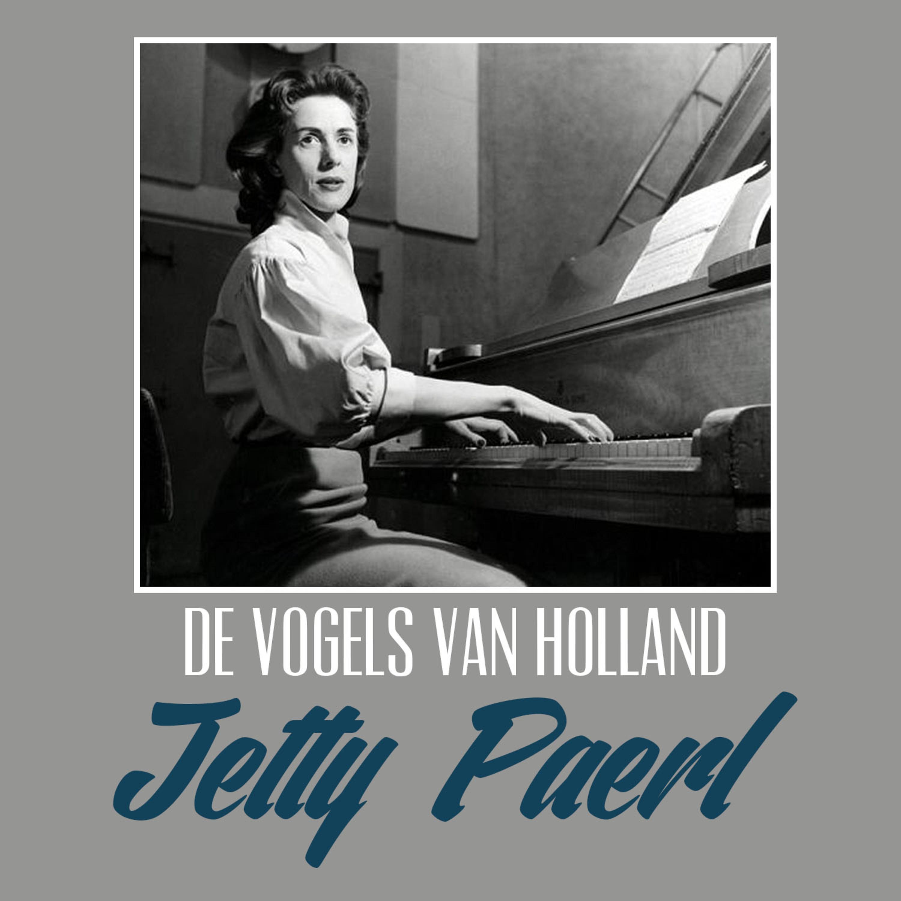 Постер альбома De Vogels Van Holland