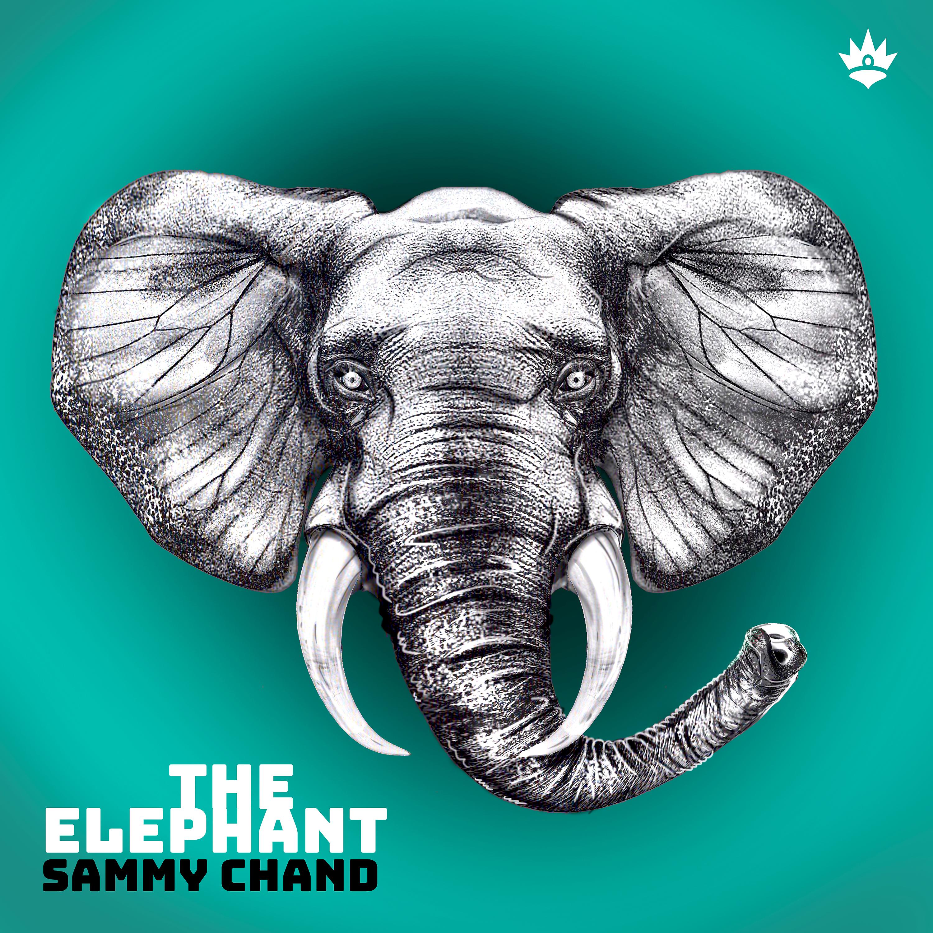 Постер альбома The Elephant
