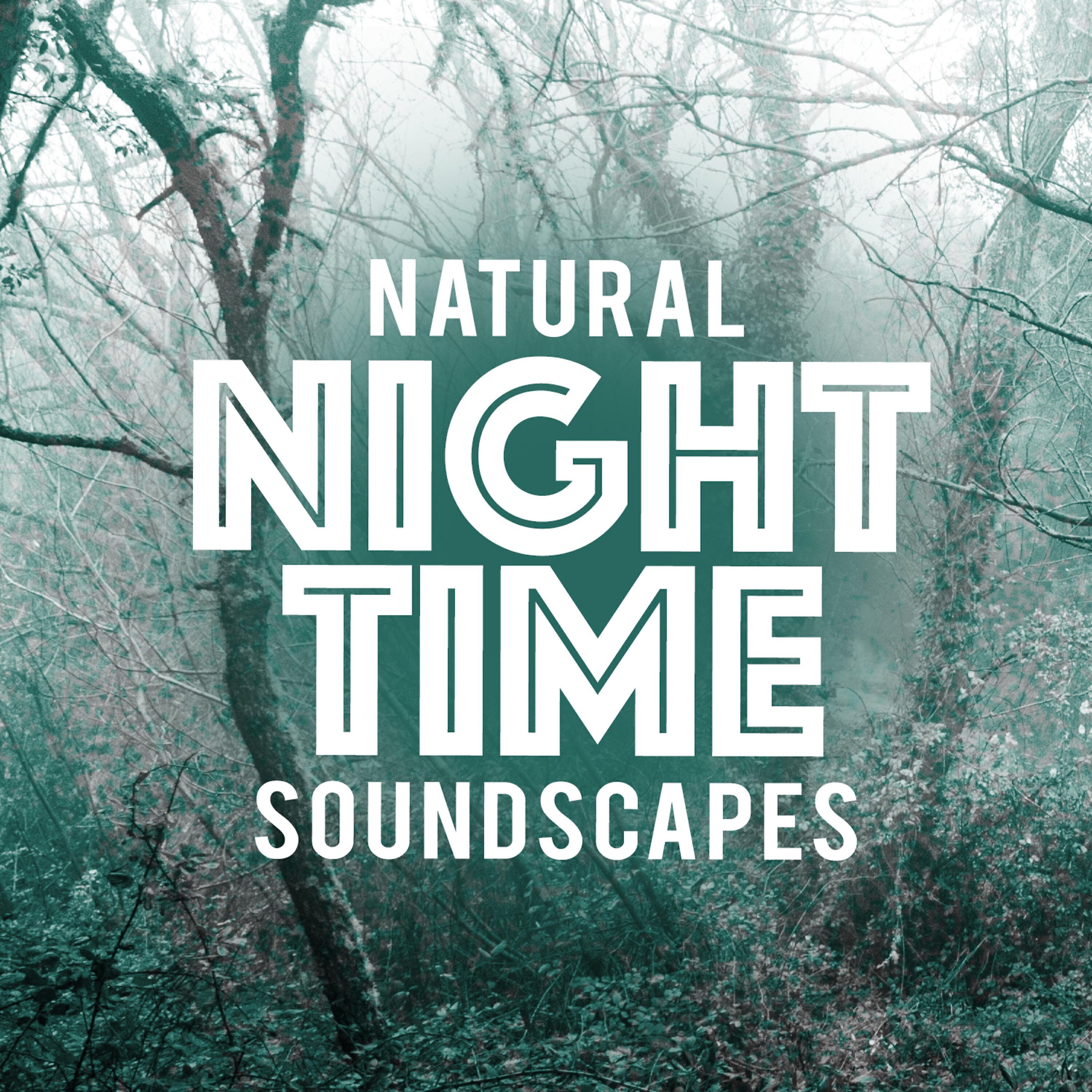 Dreams of Nature - Rill Through the Trees