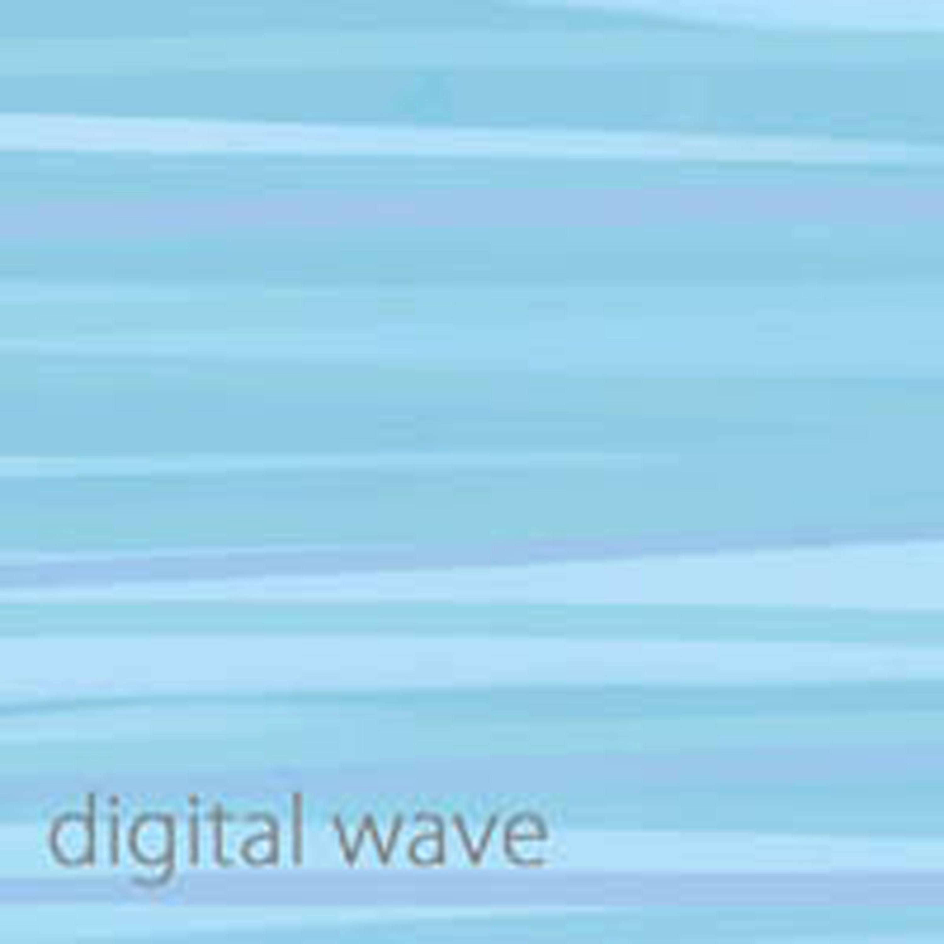 Постер альбома digital wave