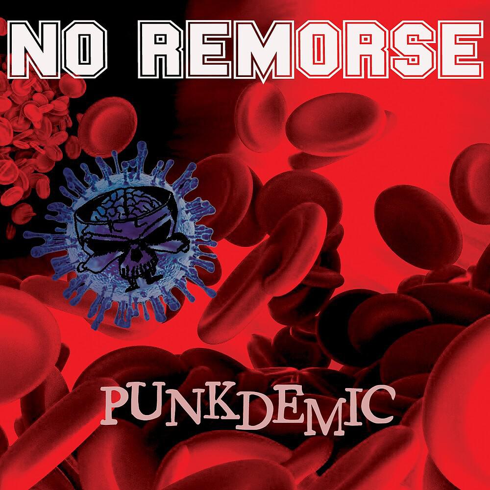 Постер альбома Punkdemic