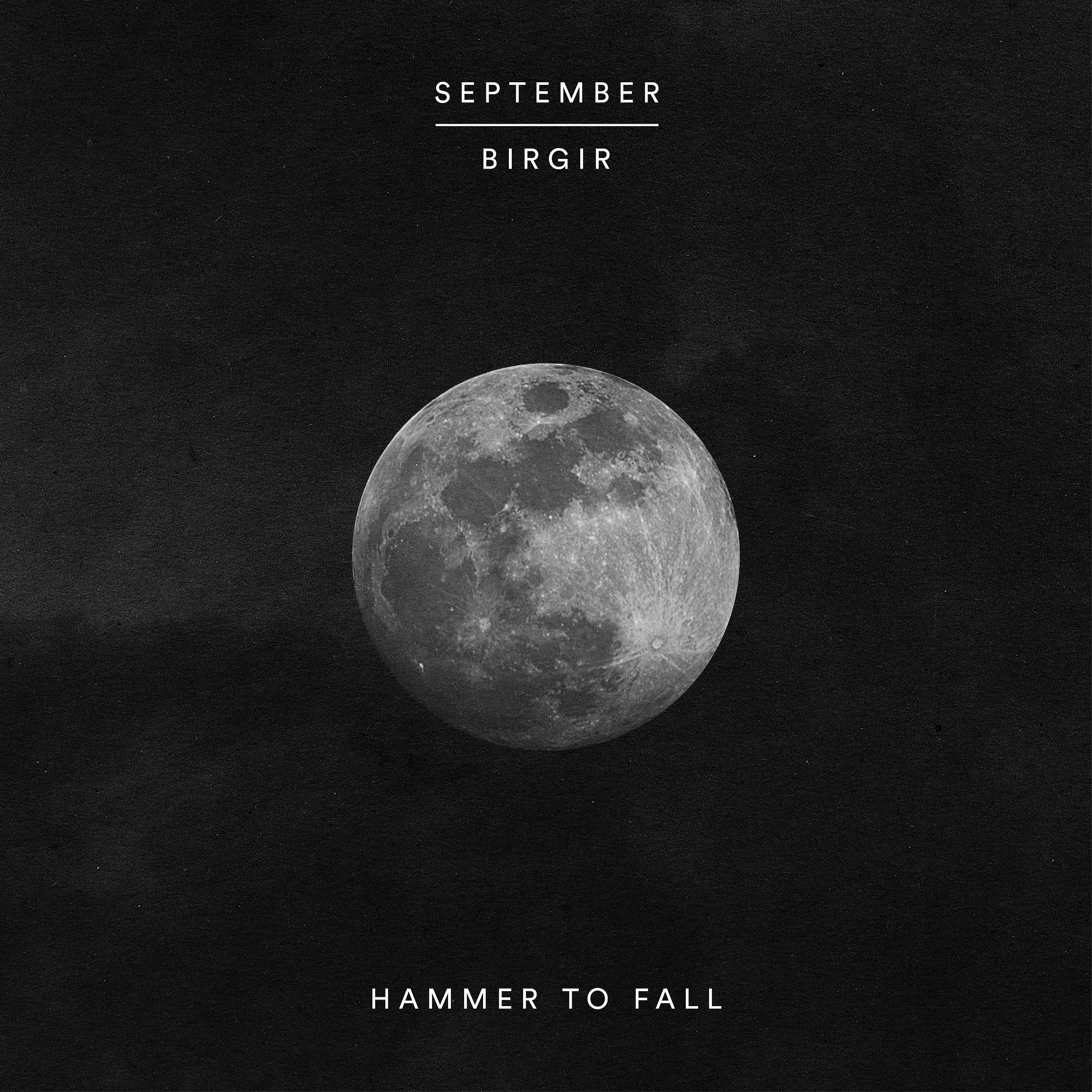 Постер альбома Hammer to Fall