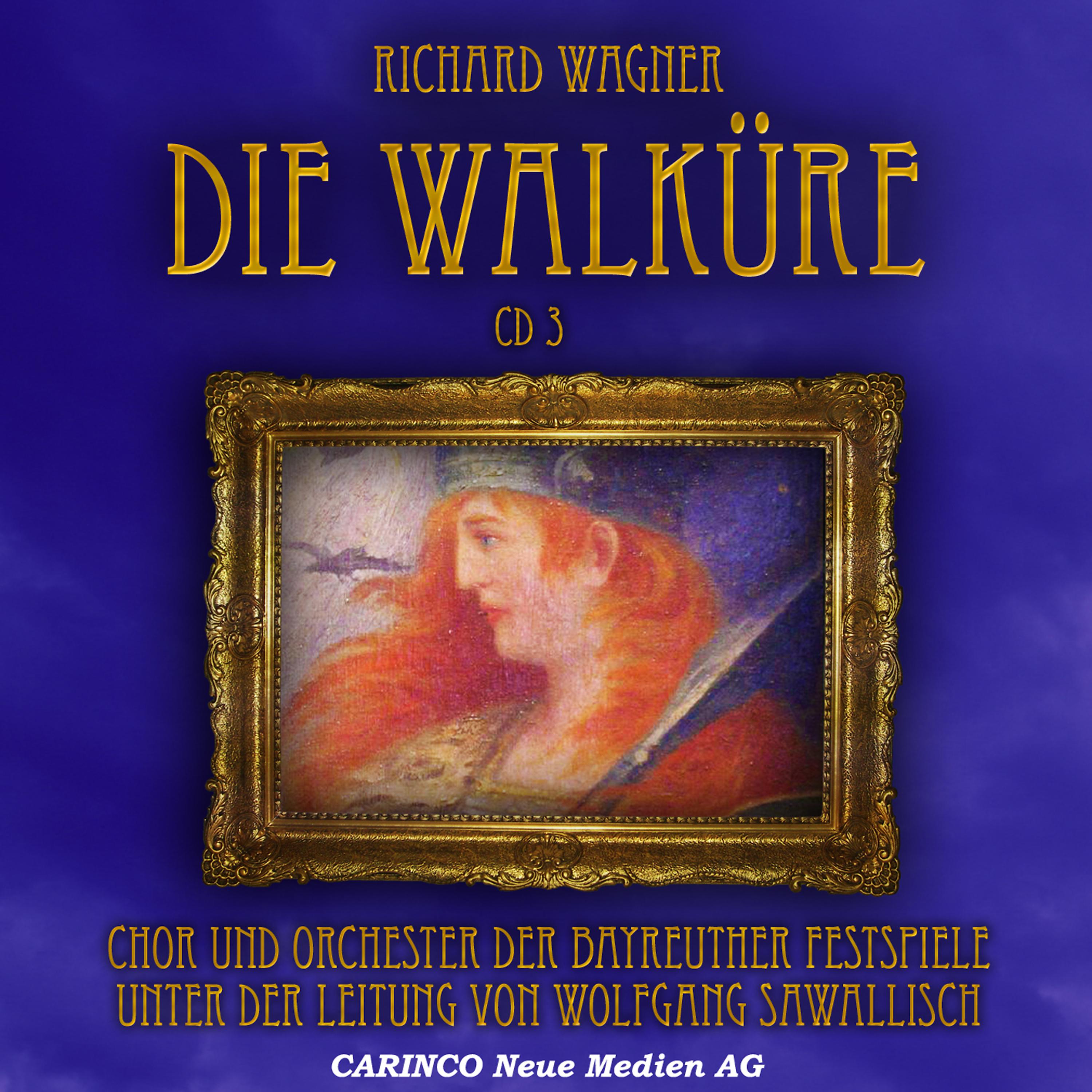 Постер альбома Die Walküre - 3. Akt