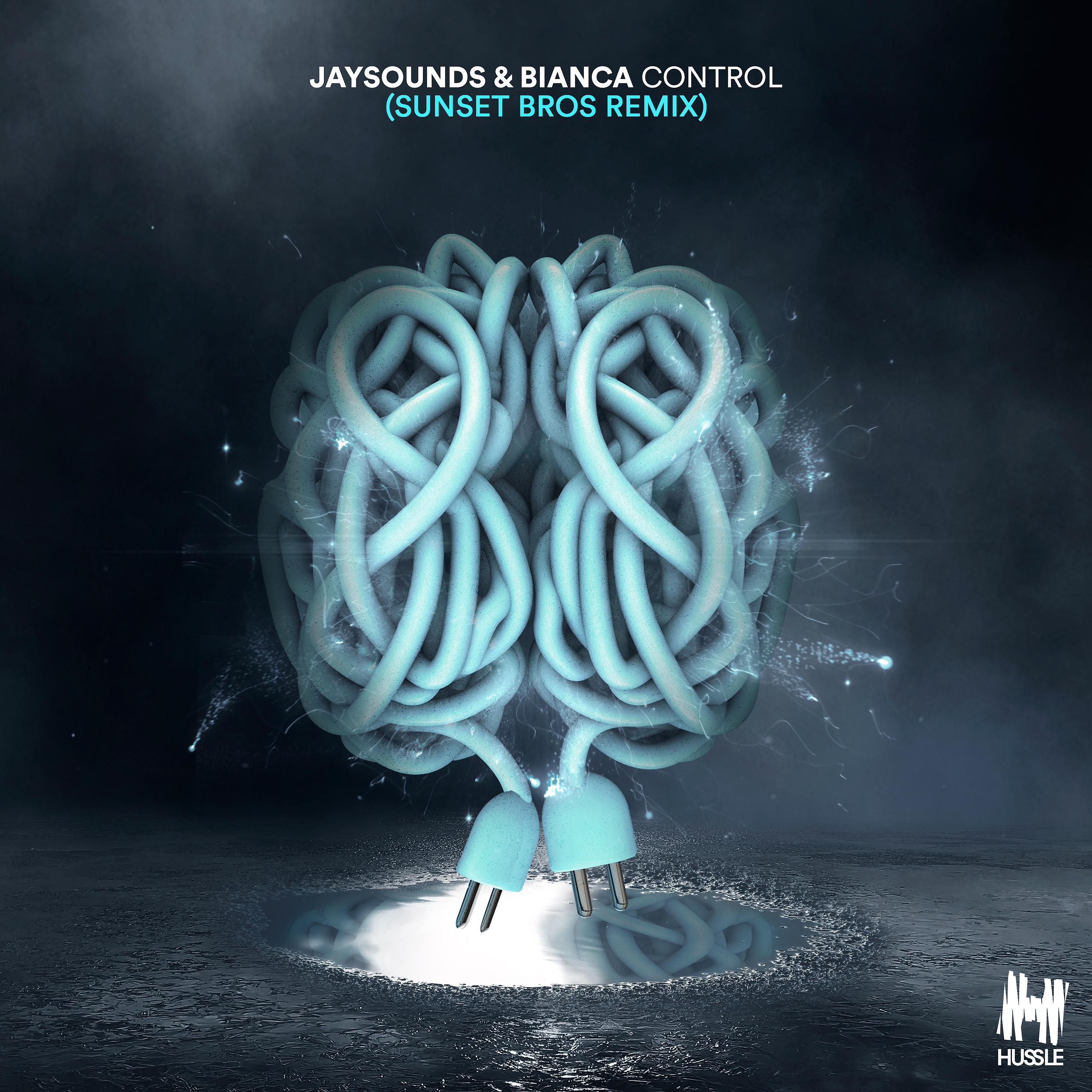 Постер альбома Control (Sunset Bros. Remix)