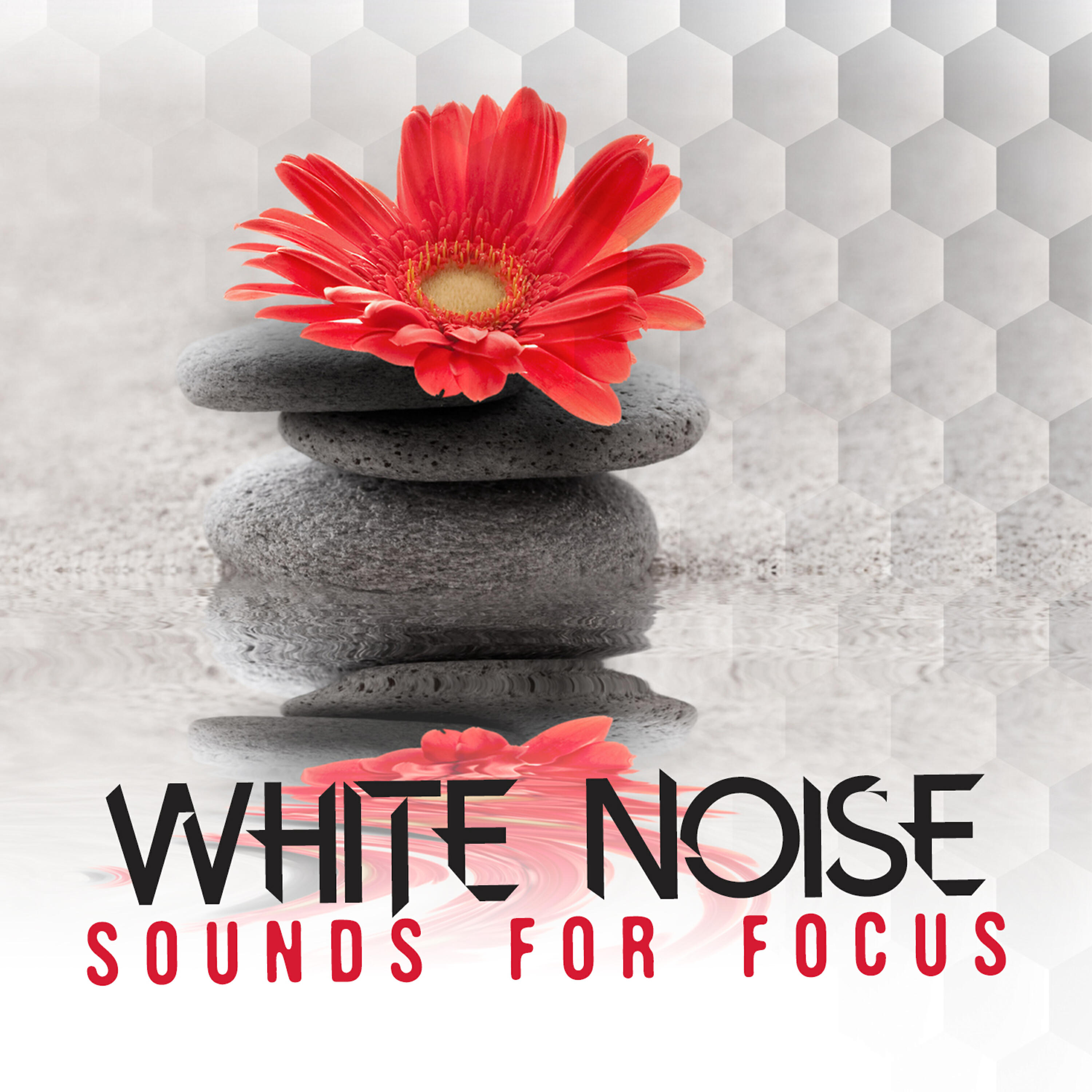 Binaural Beats Brainwave Entrainment - White Noise: Slow Tremelo