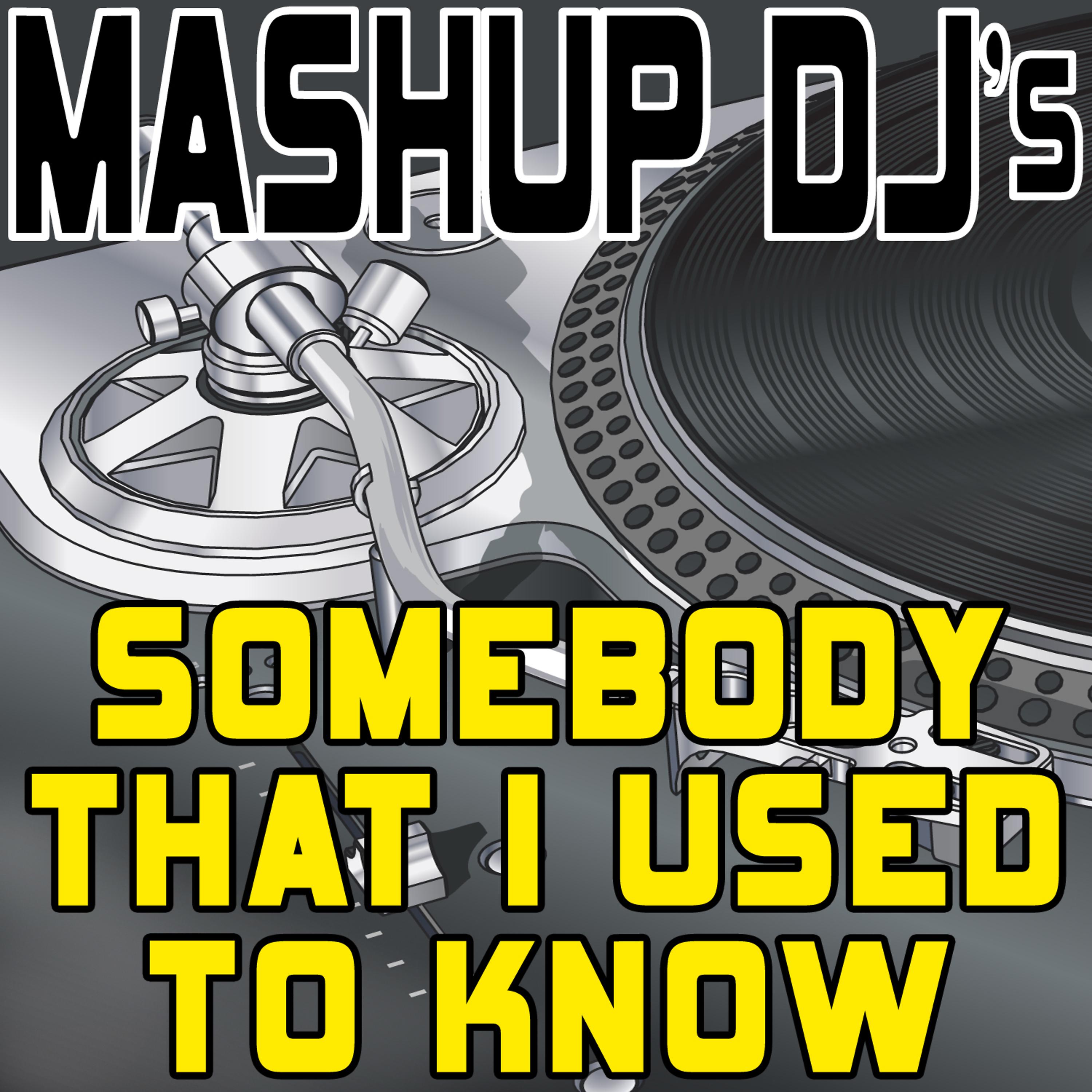 Постер альбома Somebody That I Used to Know (Remix Tools for Mash-Ups)