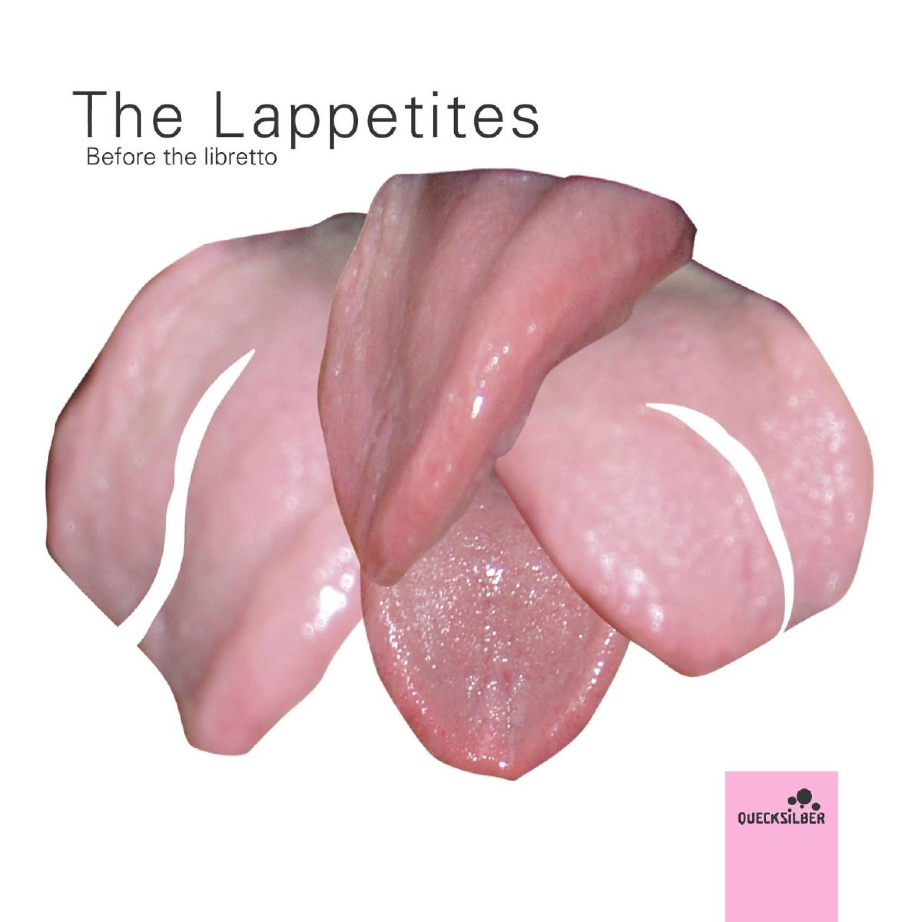 The Lappetites - Stop No. 394 Falkirk Street