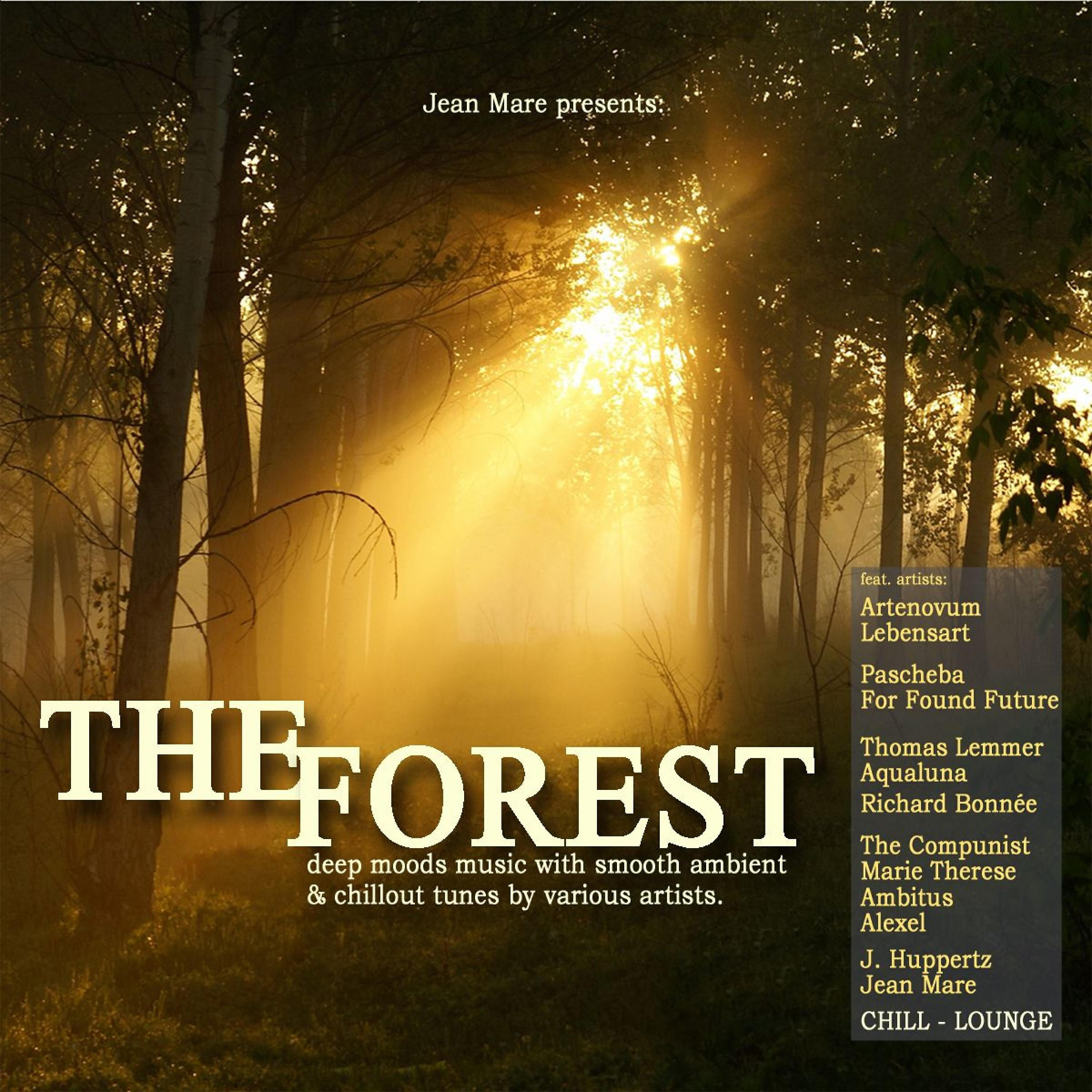 For Found Future - The Forest Dreams (Artenovum Piano Mix)