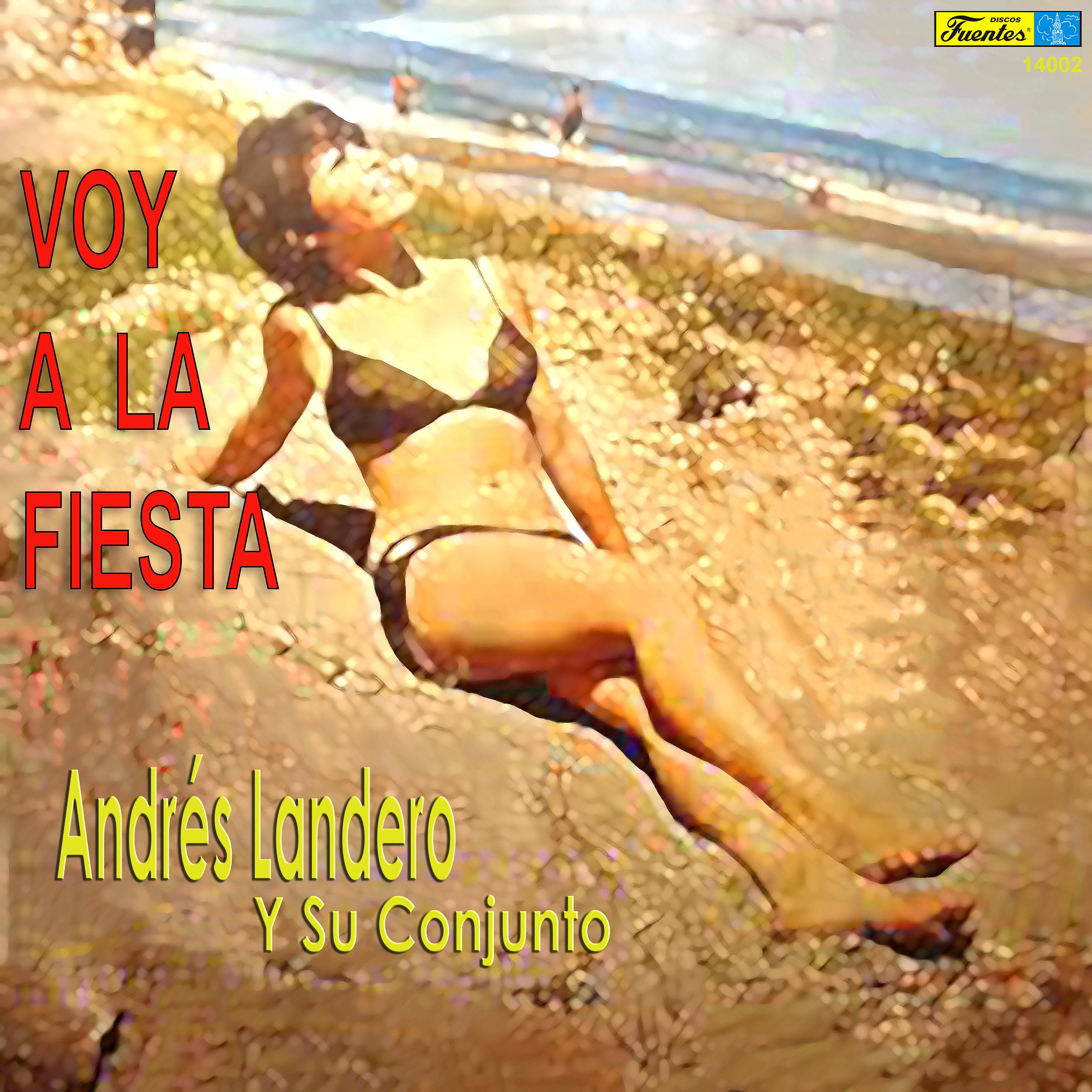 Постер альбома Voy a la Fiesta