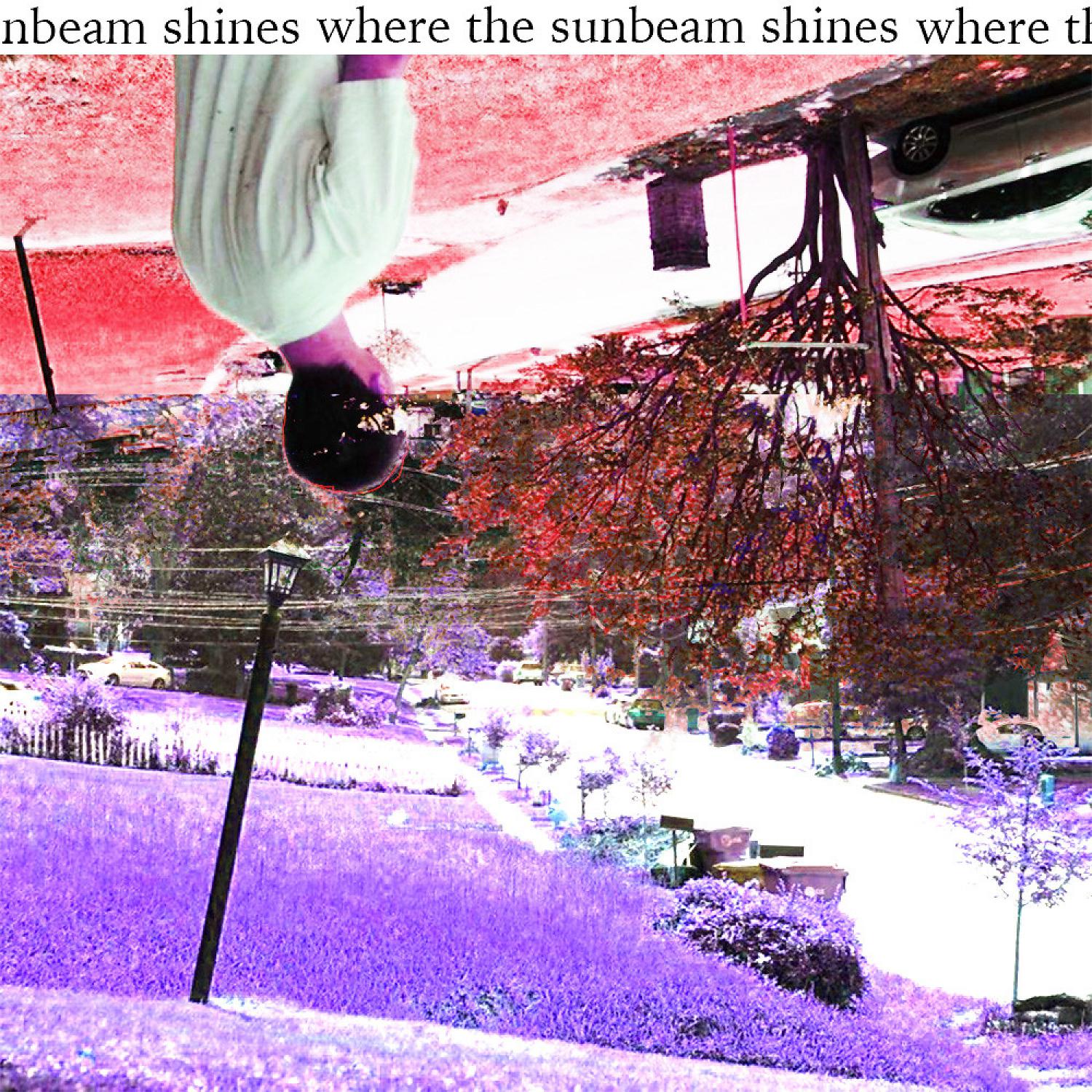 Постер альбома where the sunbeam shines
