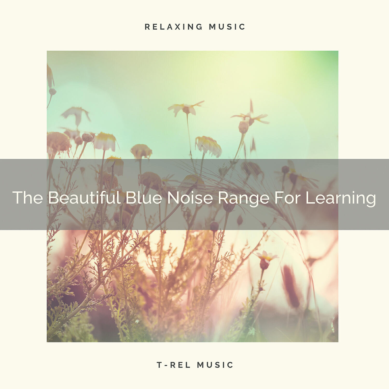 White Noise Sleep Sounds - The Beautiful Blue Noise Range For Studying
