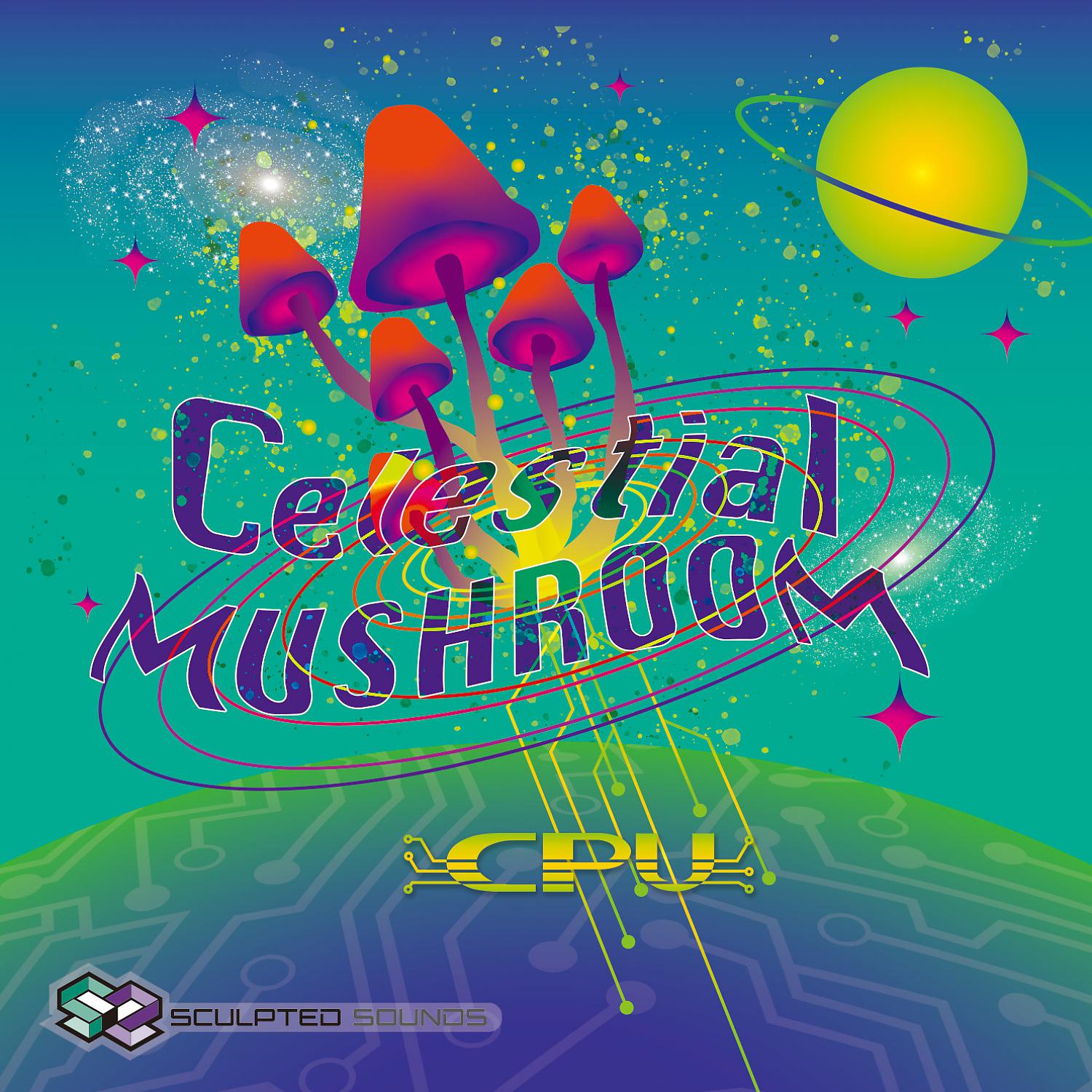 Постер альбома Celestial Mushroom