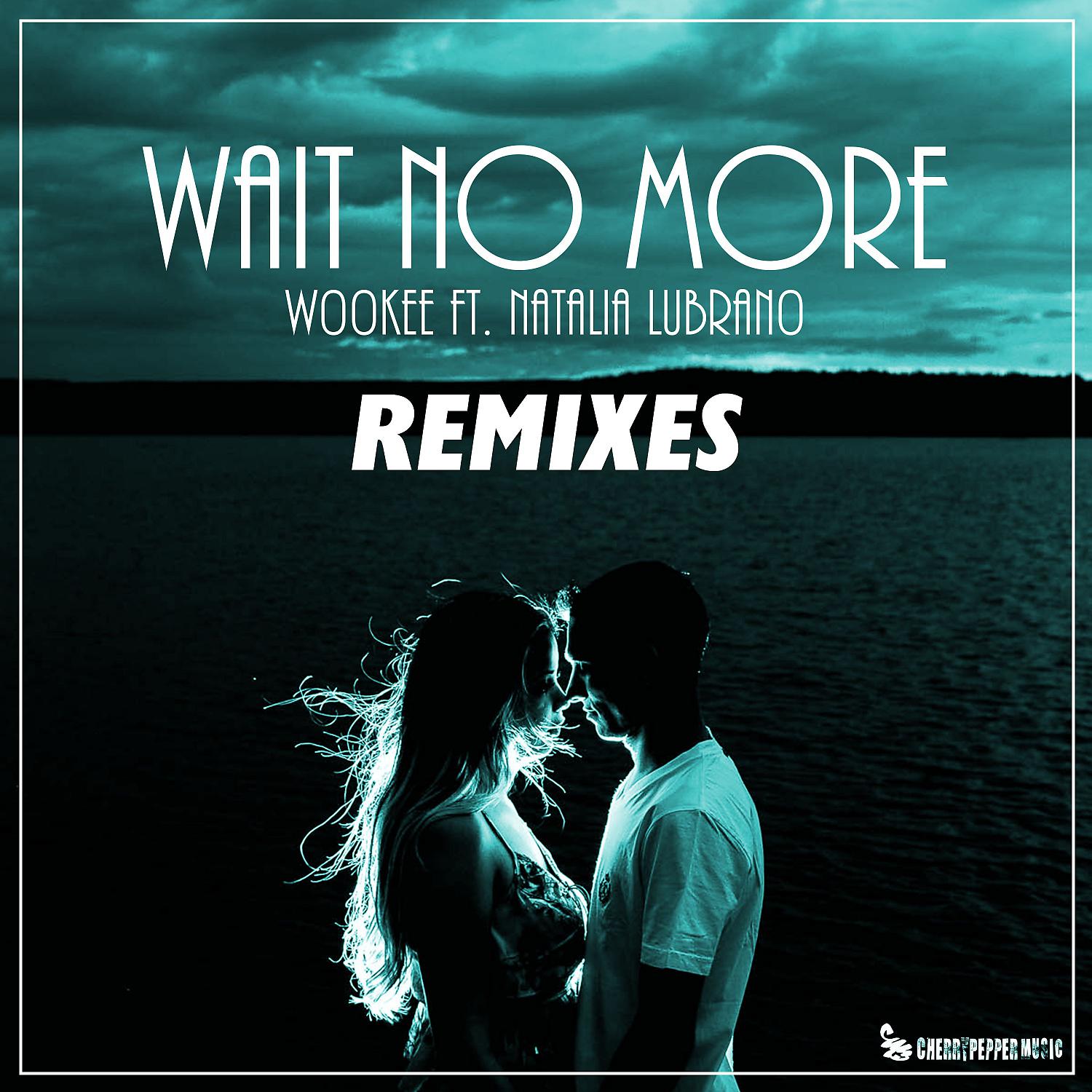 Постер альбома Wait No More (feat. Natalia Lubrano) [Remixes]