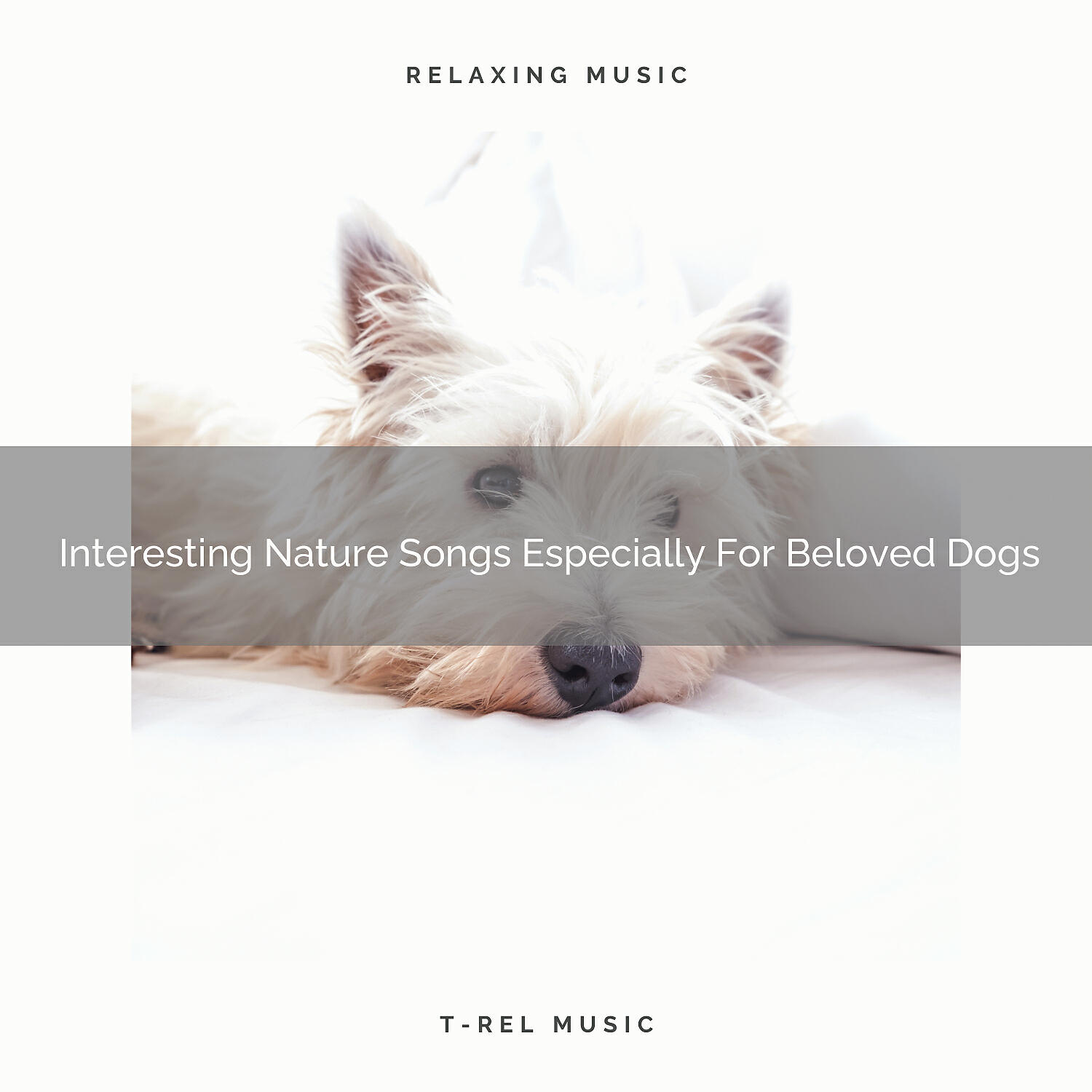 Pets Total Relax - Calming Wind Whispers Especially For Indoors Dogs