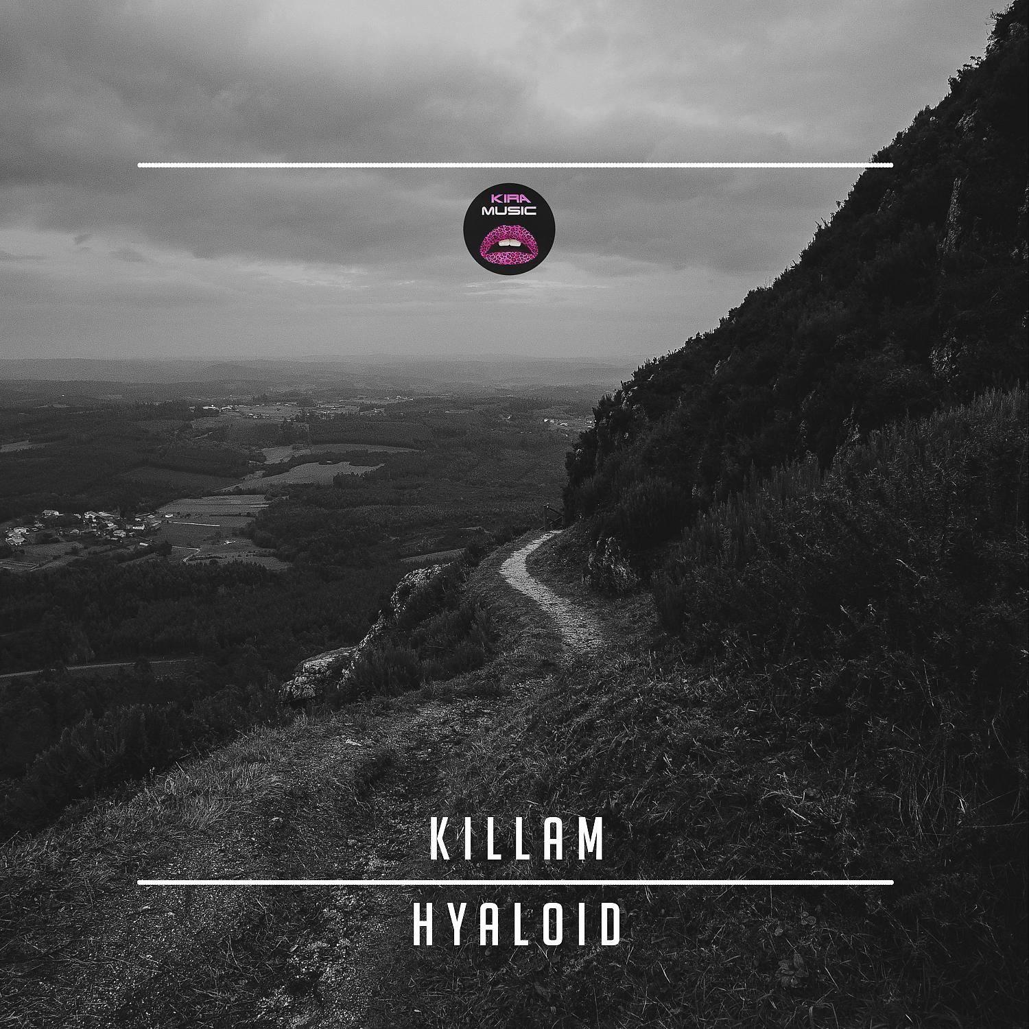 Постер альбома Hyaloid