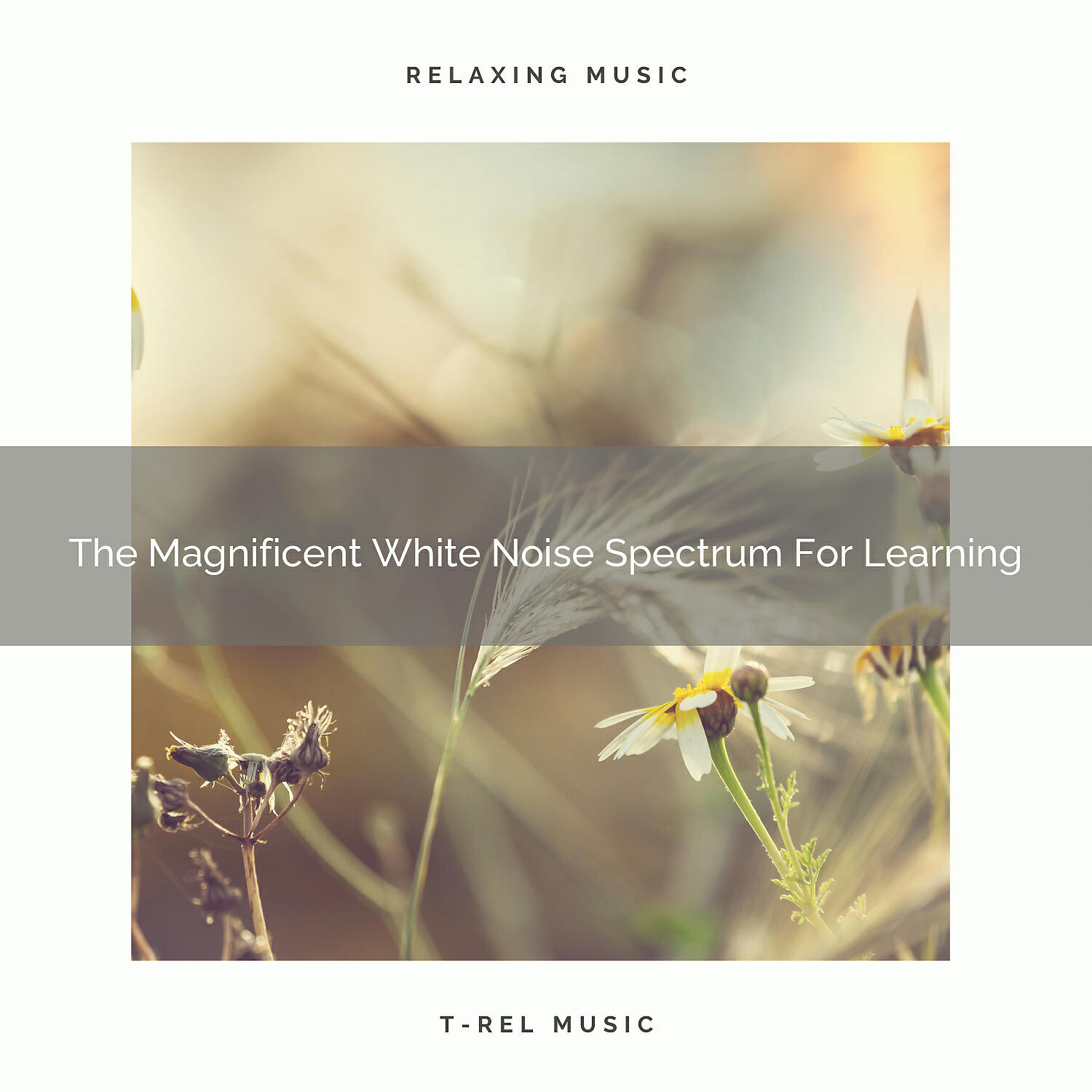 Granular - The Magnificent White Noise Spectrum For Nap A Latte