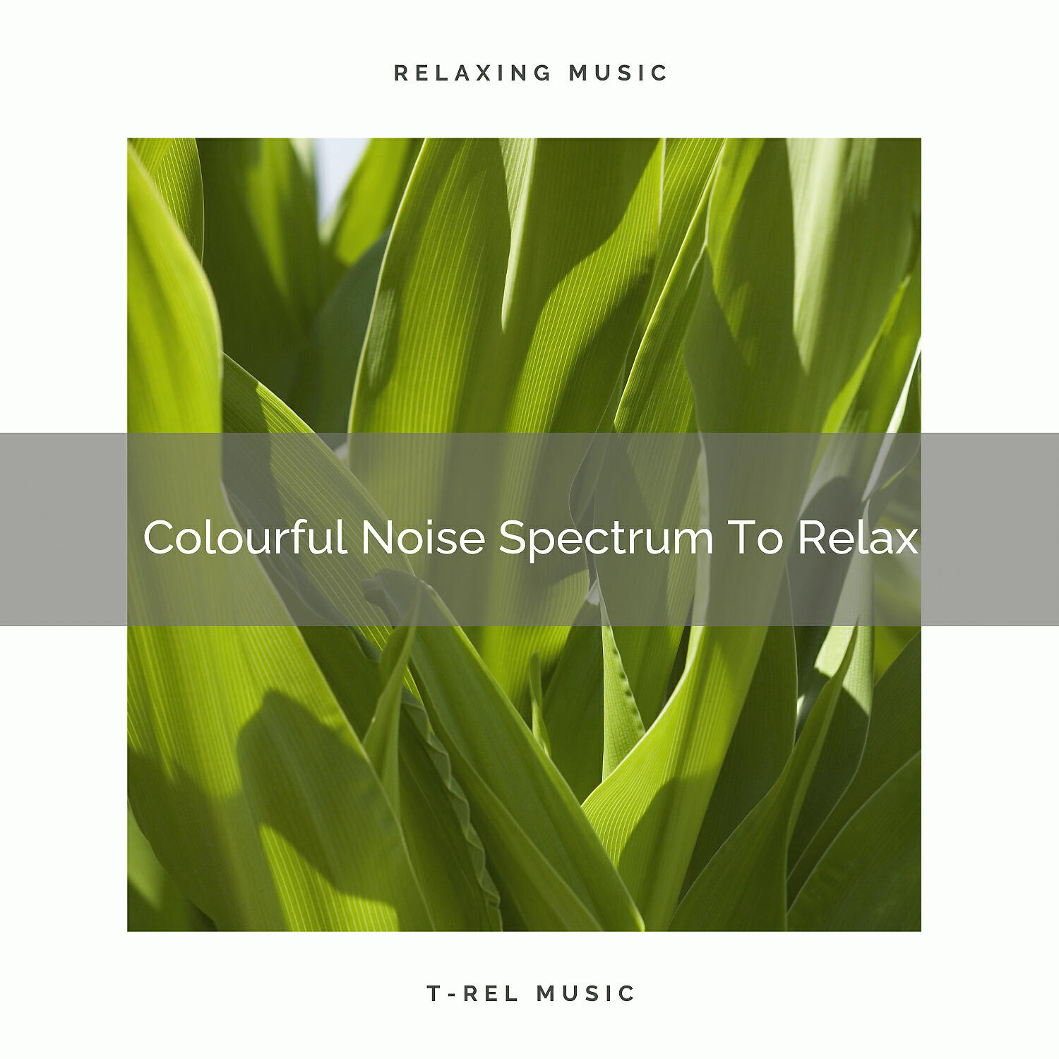 Water Sound Natural White Noise - White Noise Spectrum To Relax