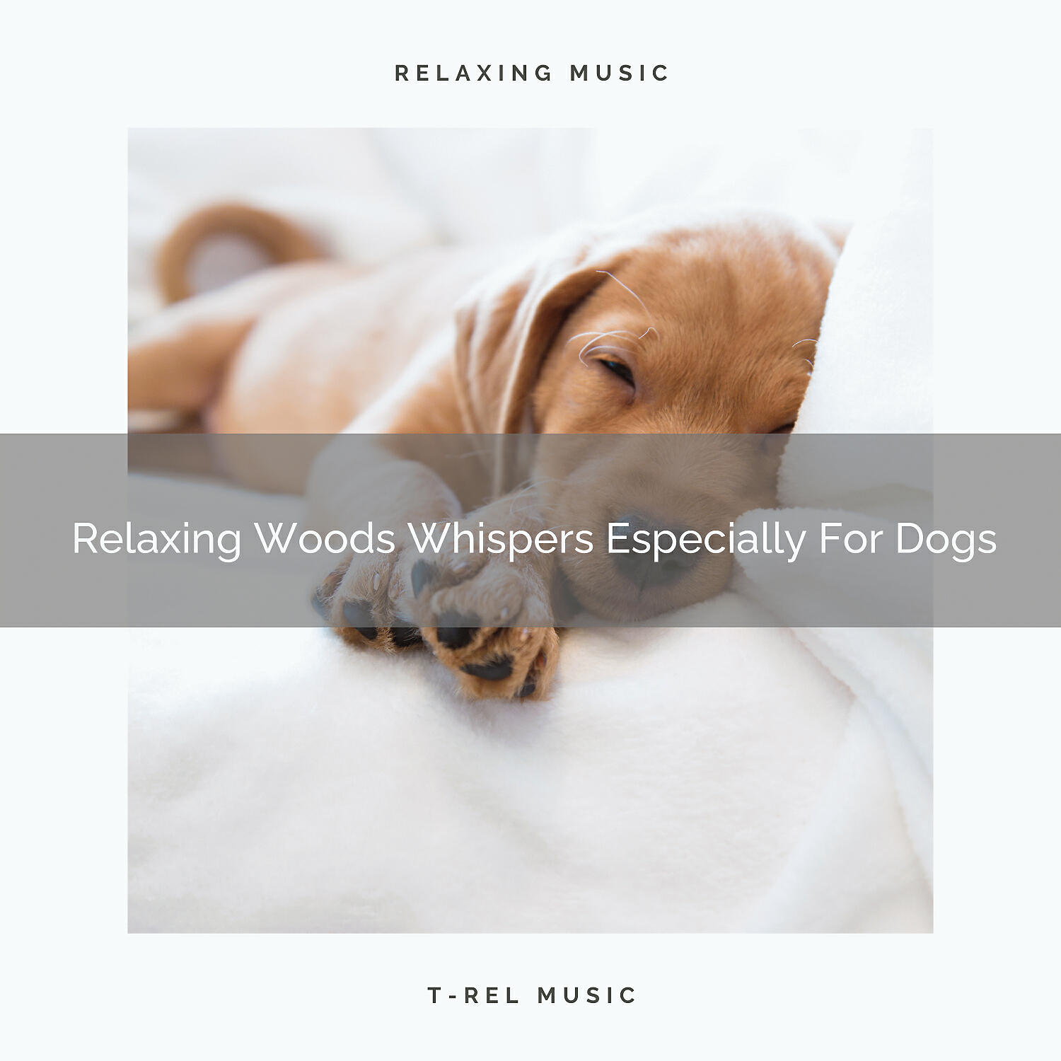Pets Relax - Calming Waves Sounds For All Dogs