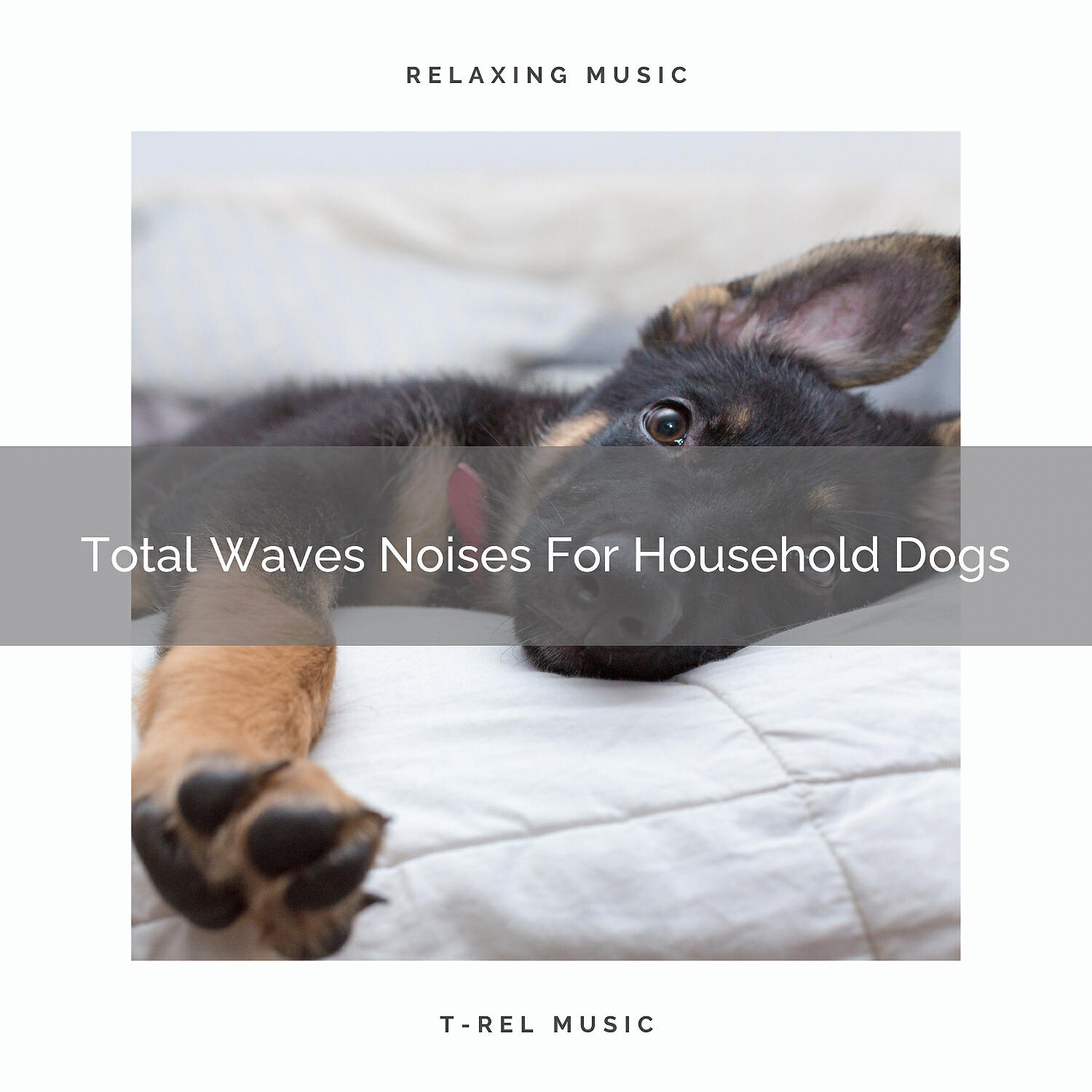 Pets Relax - Nature Tunes Especially For All Dogs