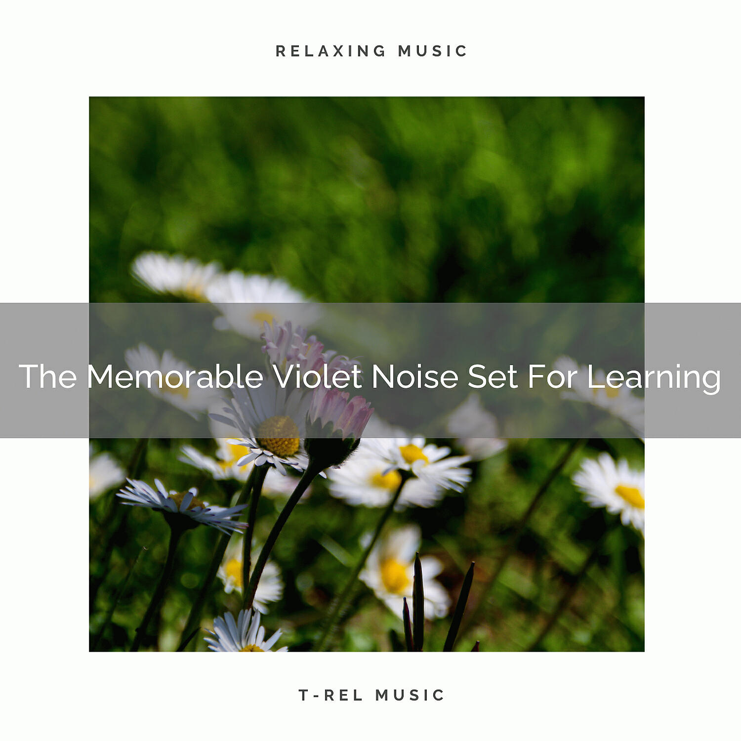 White Noise Sleep Therapy - The Memorable Violet Noise Set For Studying