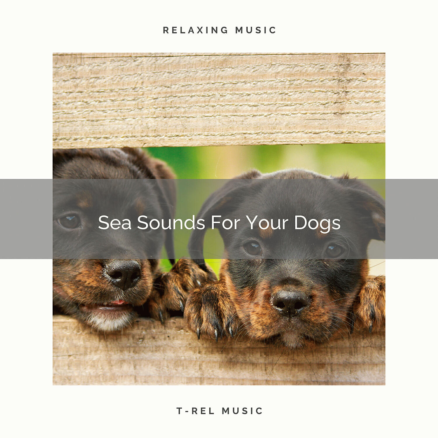Dog Relax - Stress Relieving Weather Tunes Especially For Your Dogs