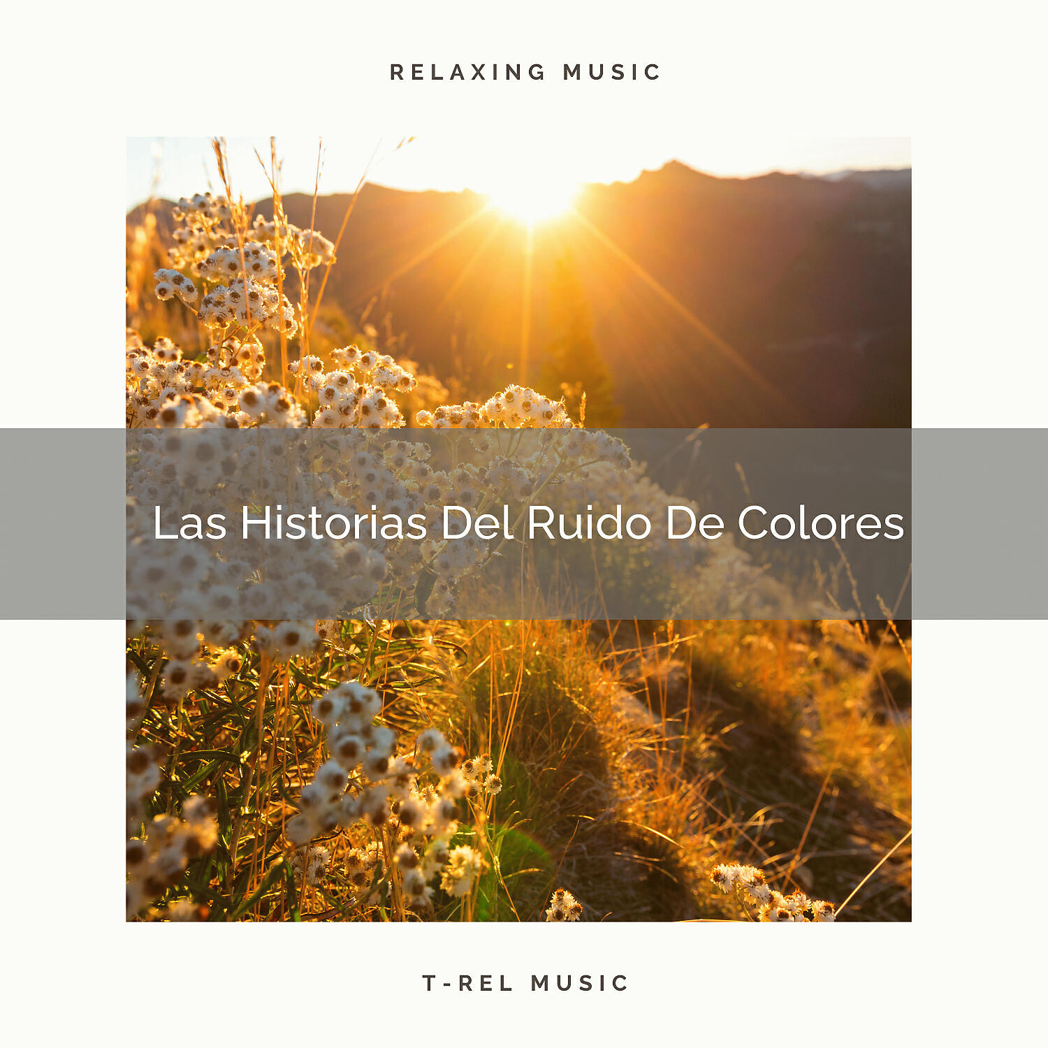 Ruido De Colores - El Vuelo Con Ruido Blanco