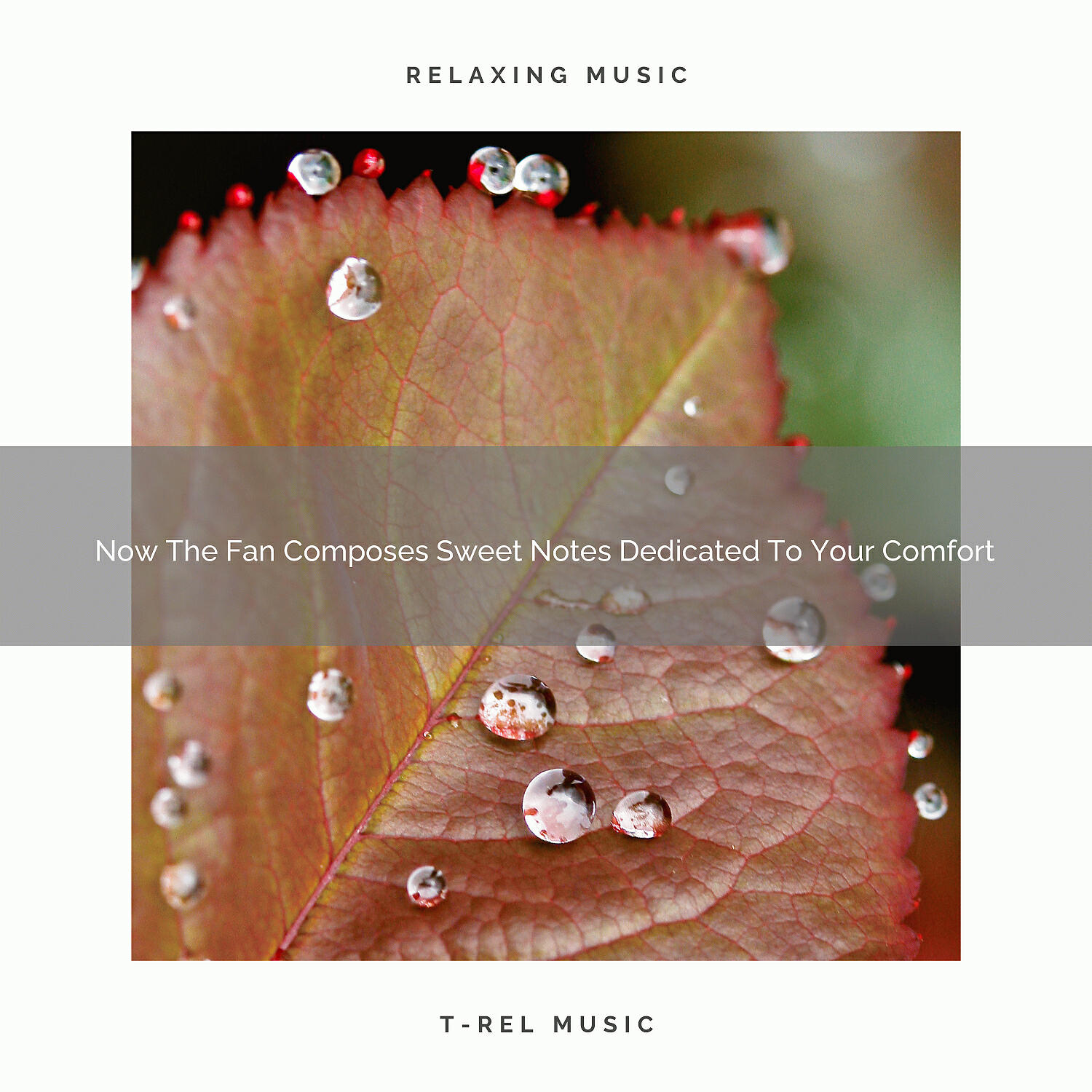 White Noise Relaxation - Claming Noise For Noise Therapy, Gain Strength, And Complete New Approach