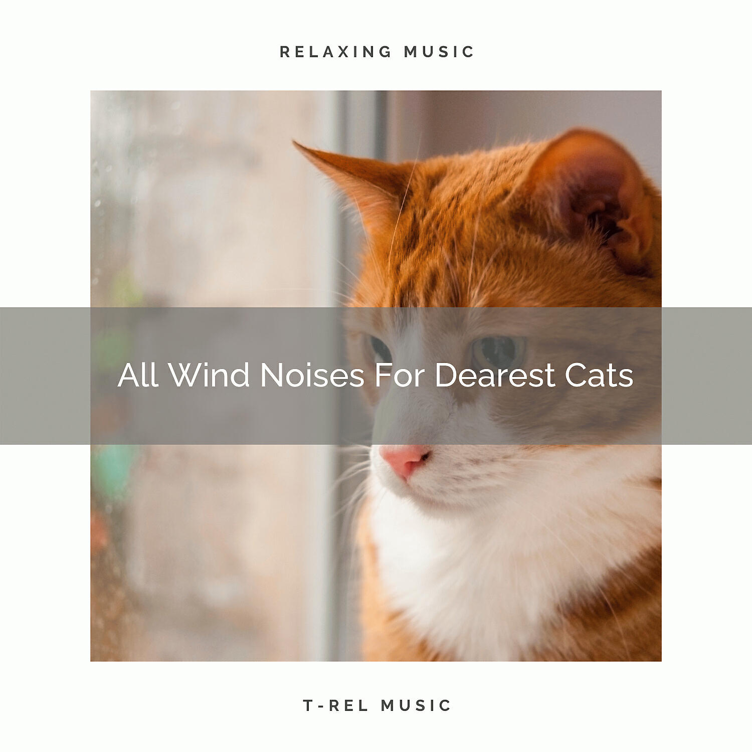 Cat Relax - Calming Waves Sounds Especially For Your Dear Cats