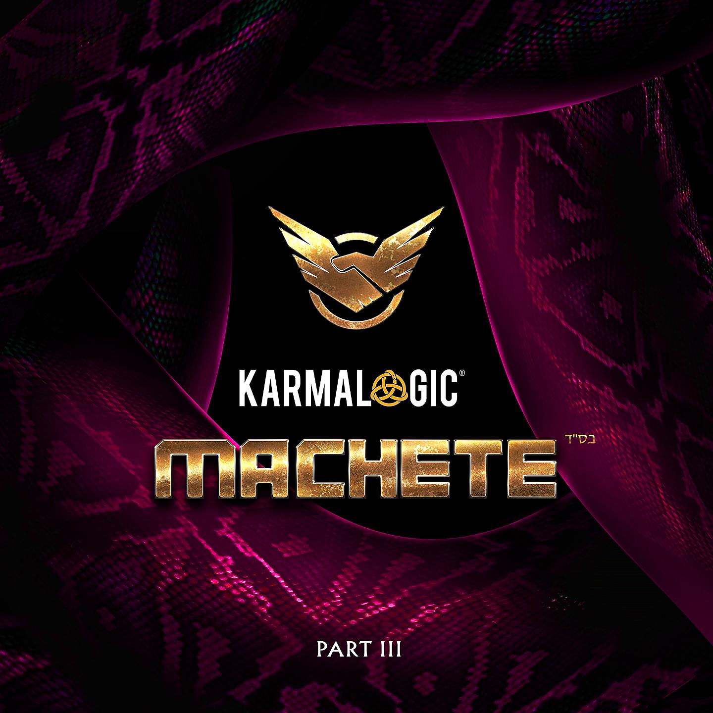 Постер альбома Karmalogic III