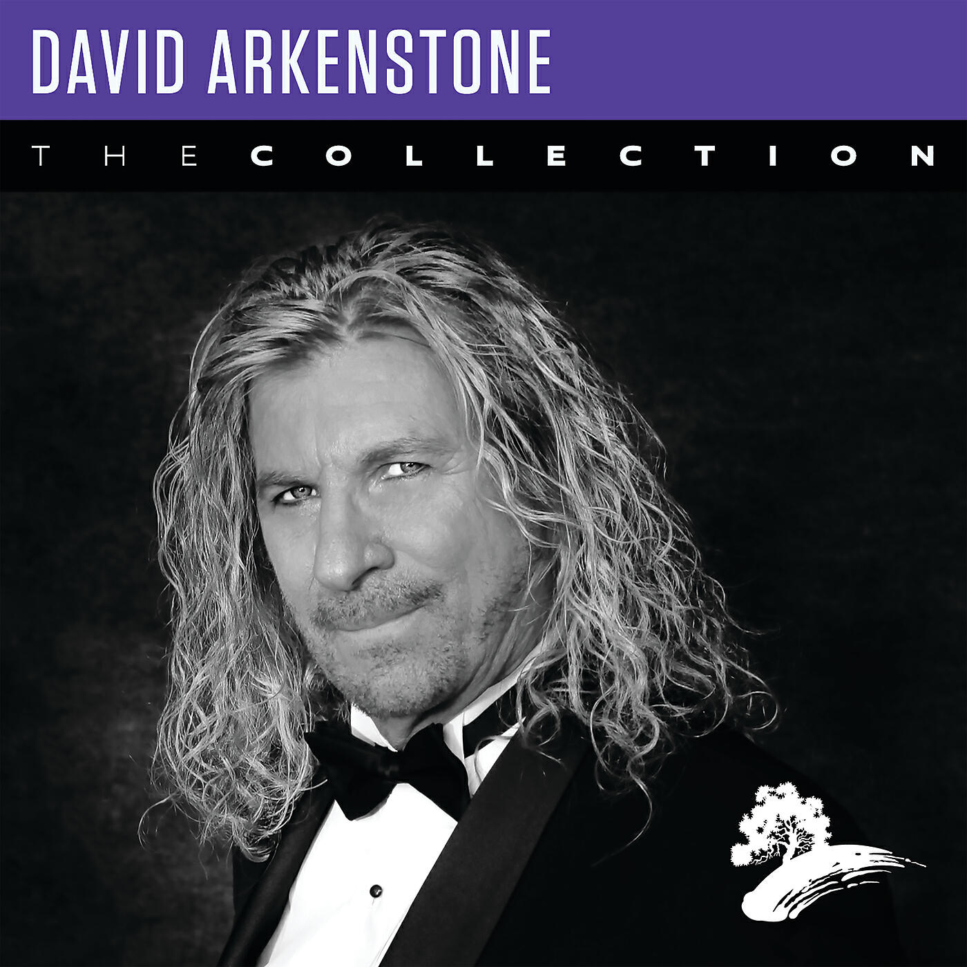David Arkenstone - Misty Mountains / Song Of The Lonely Mountain (From “The Hobbit”/Medley)