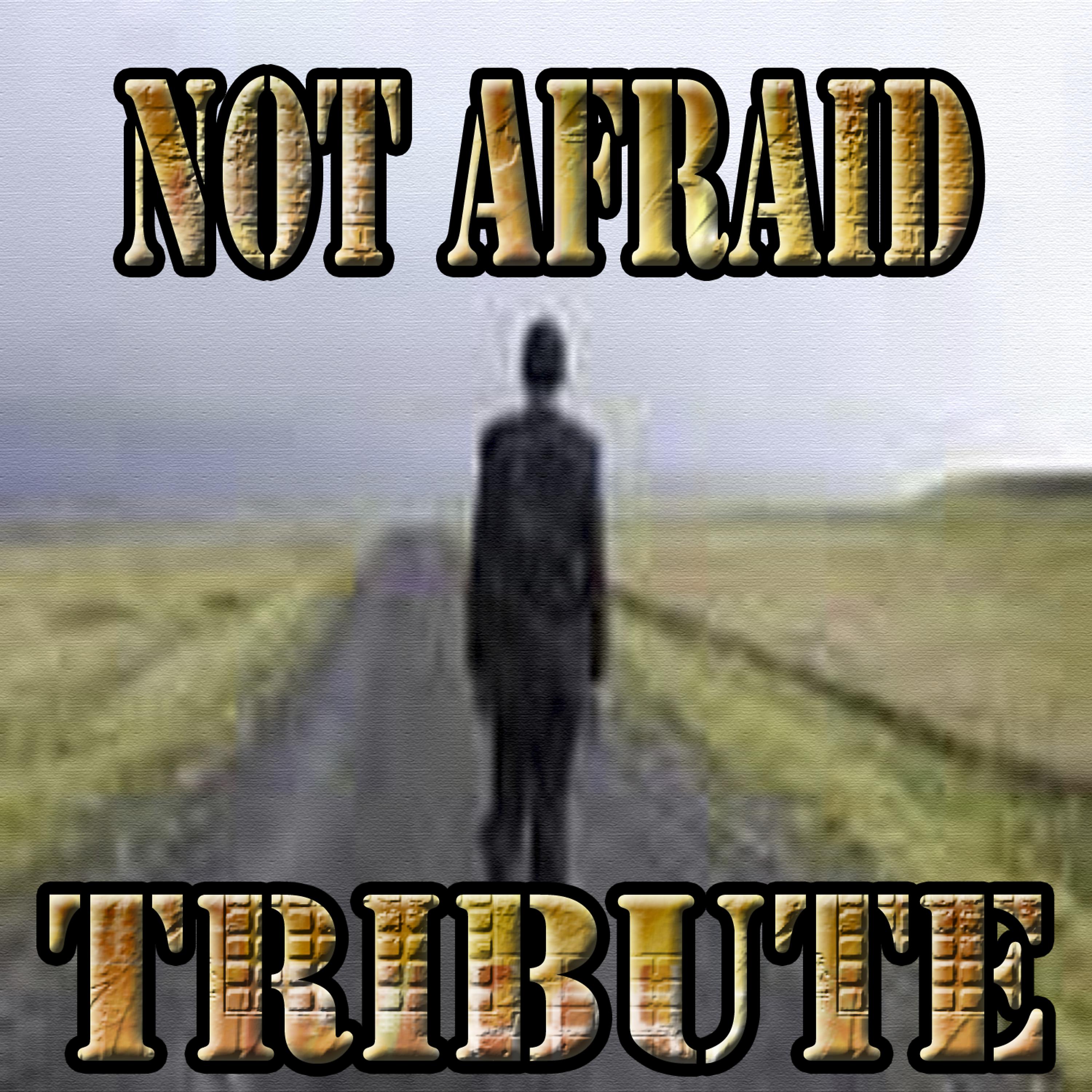 Постер альбома Not Afraid - Single (Tribute to Eminem)