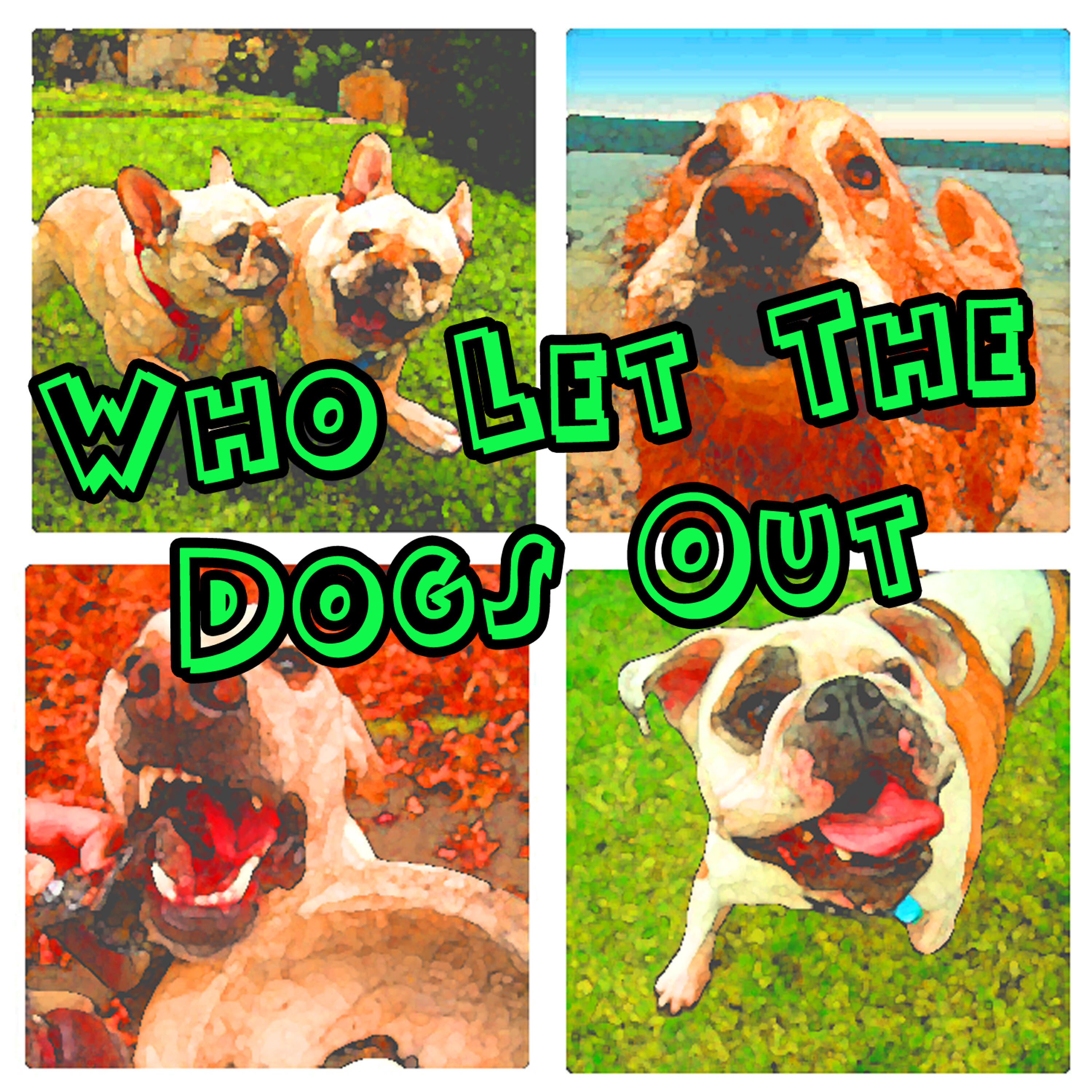 The Big Dogs - Who Let The Dogs Out (Baha Men Salute)