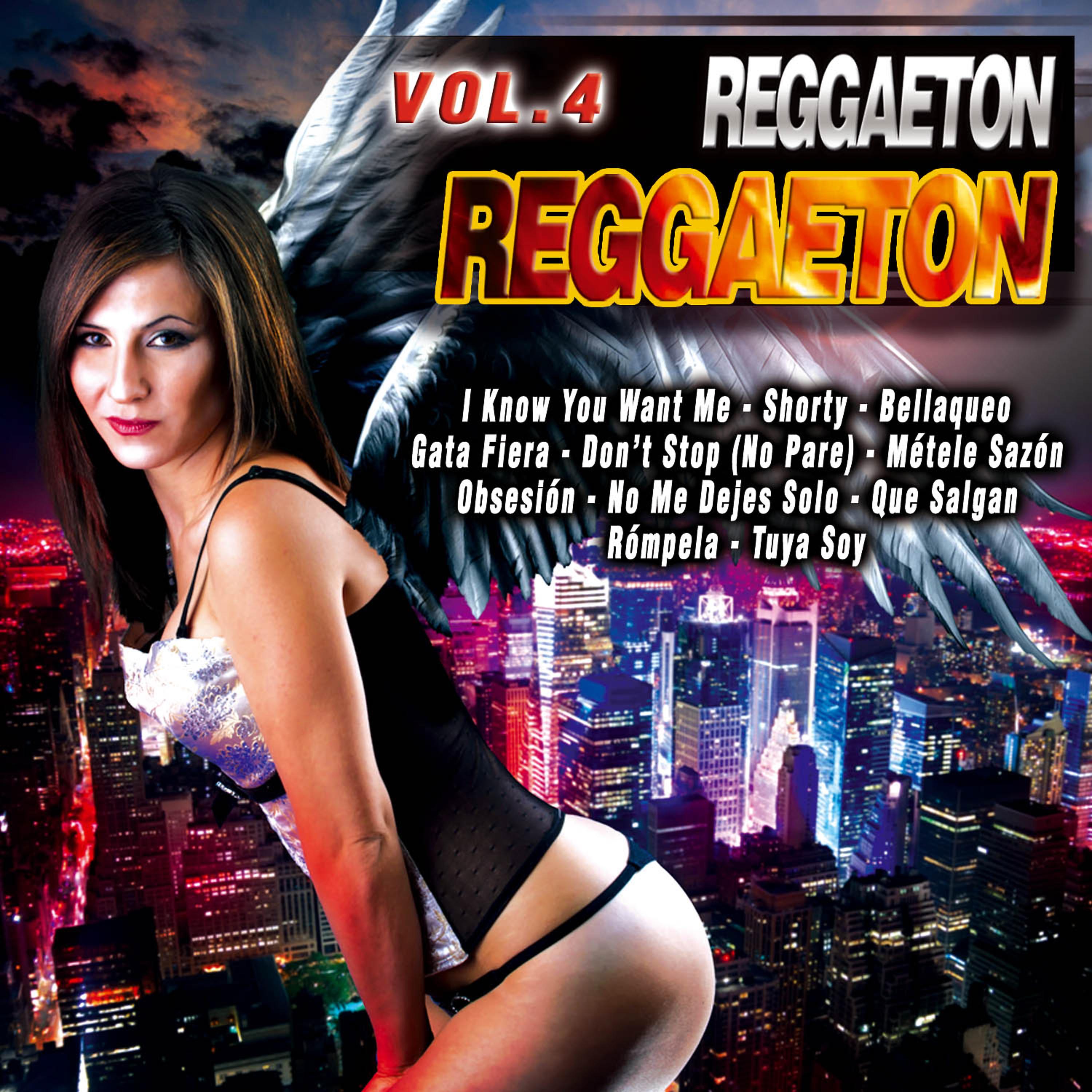 Постер альбома Reggaeton Vol. 4