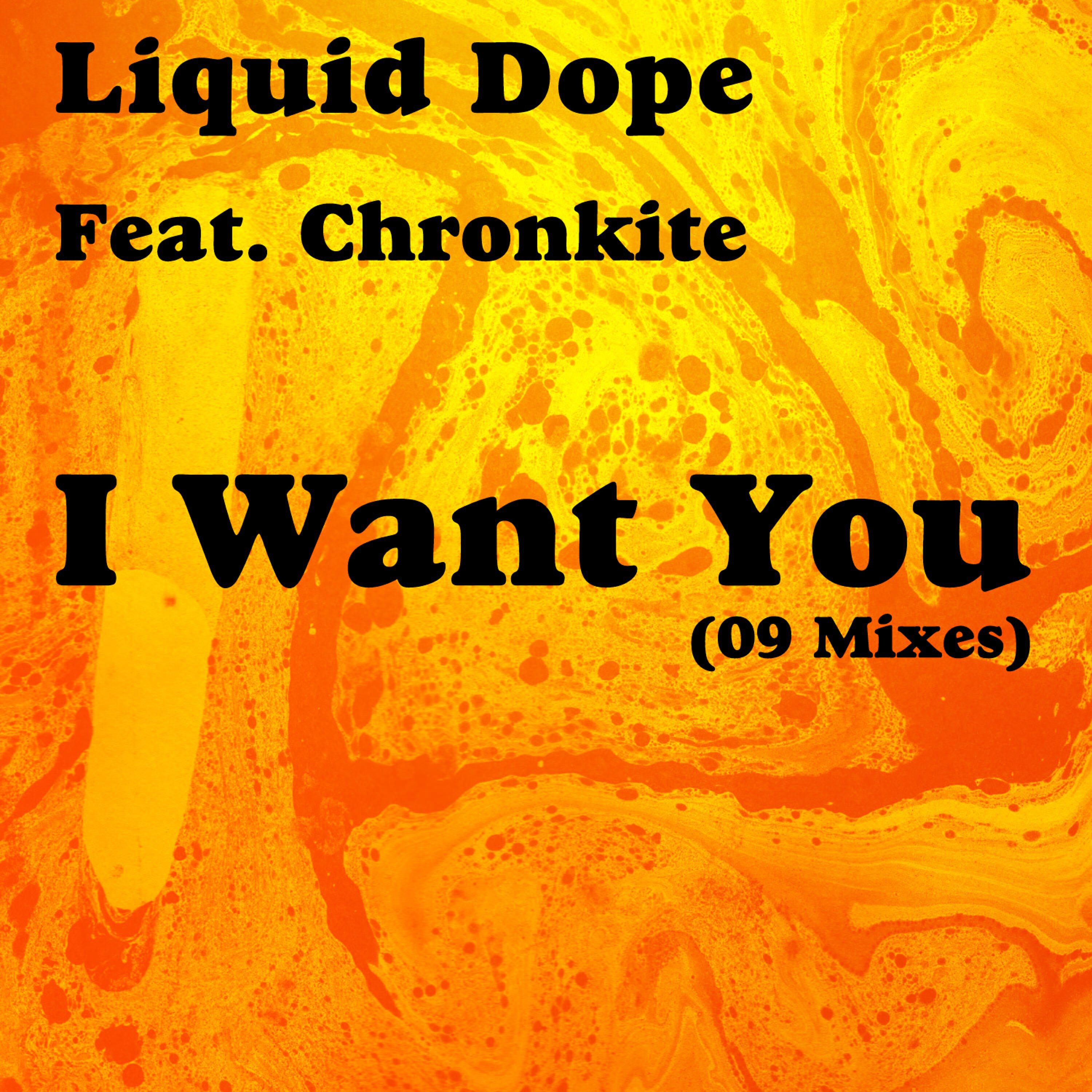 Liquid Dope - I Want You (Kenny Dope Alt Intro Remix)