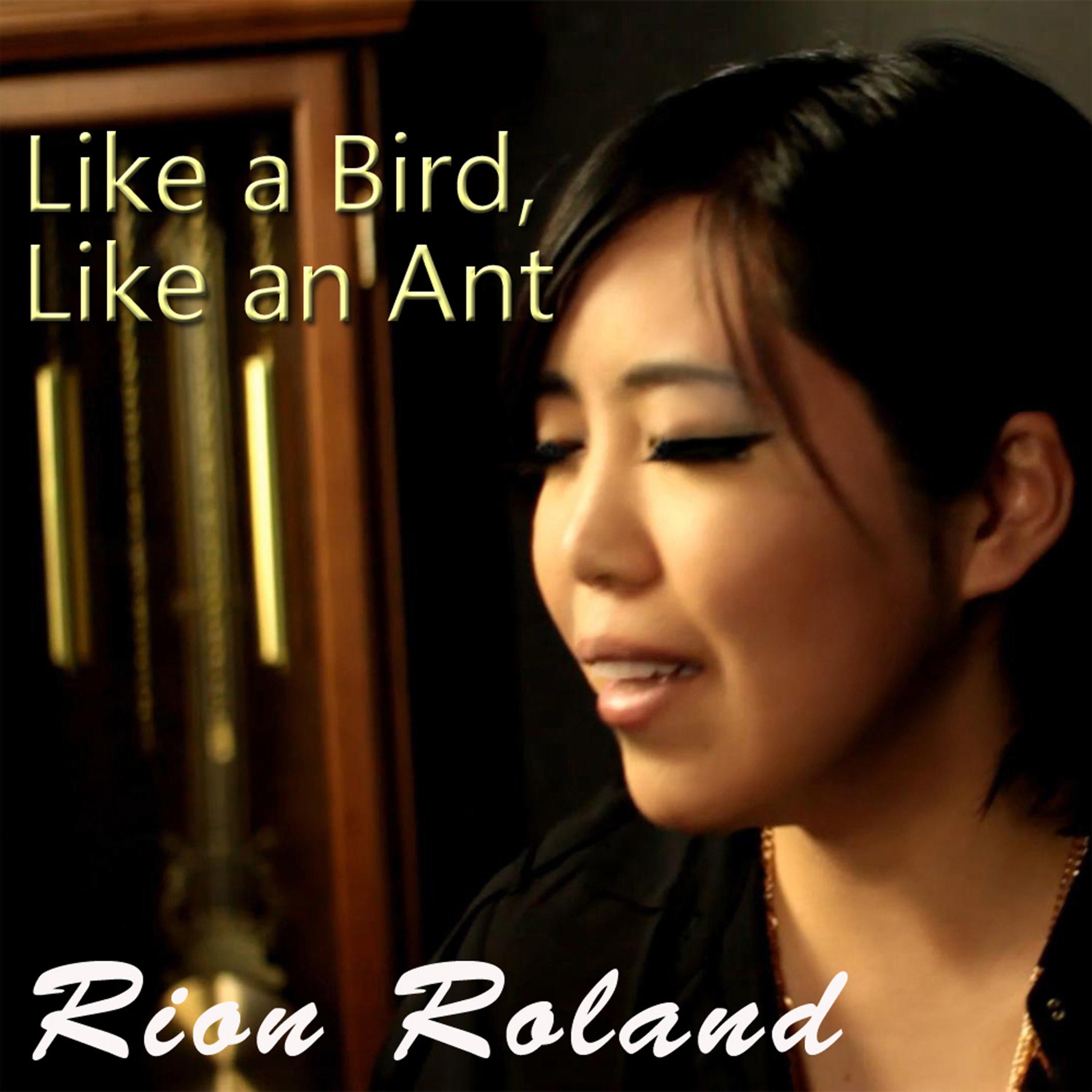 Постер альбома Like a Bird, Like an Ant - Single