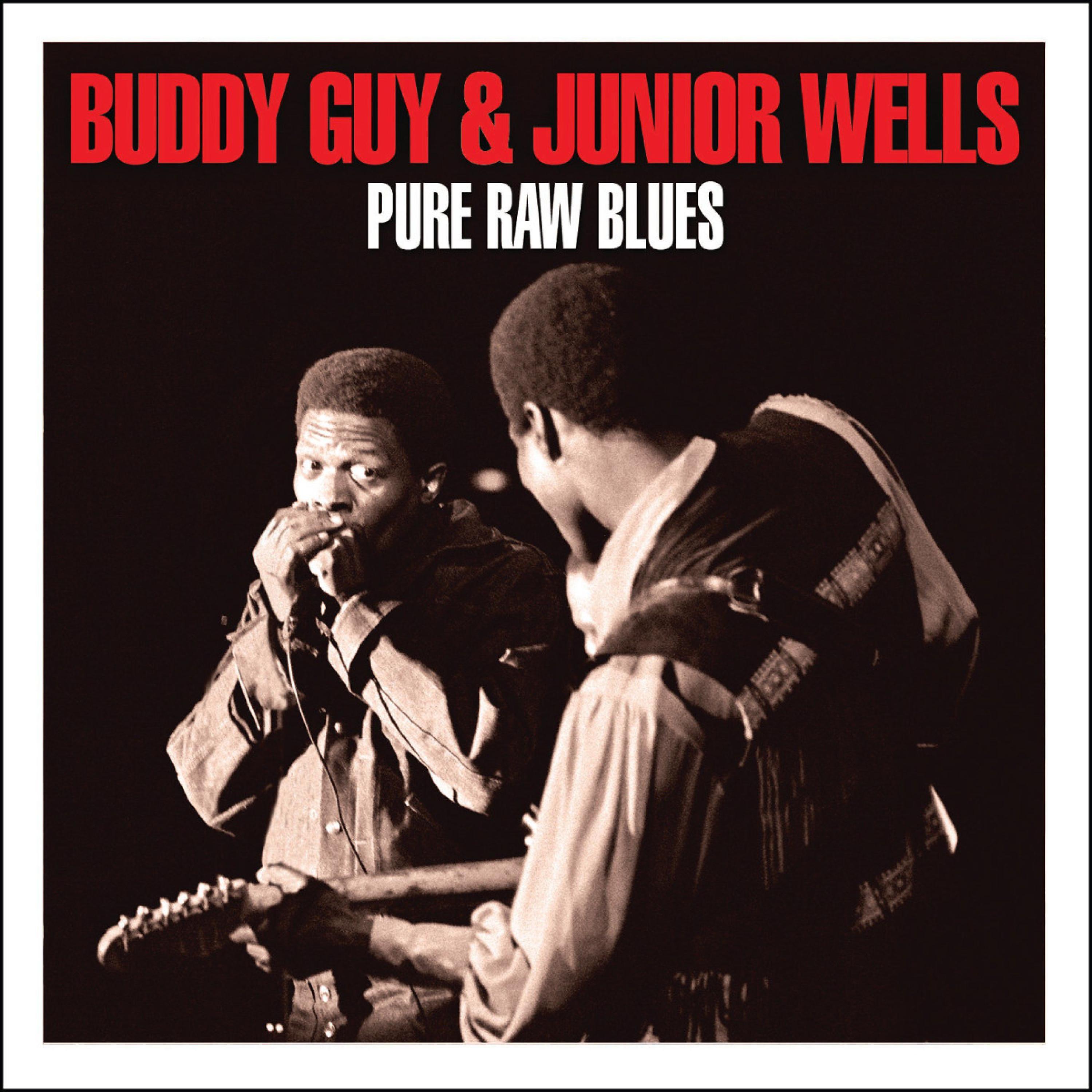 Постер альбома Pure Raw Blues