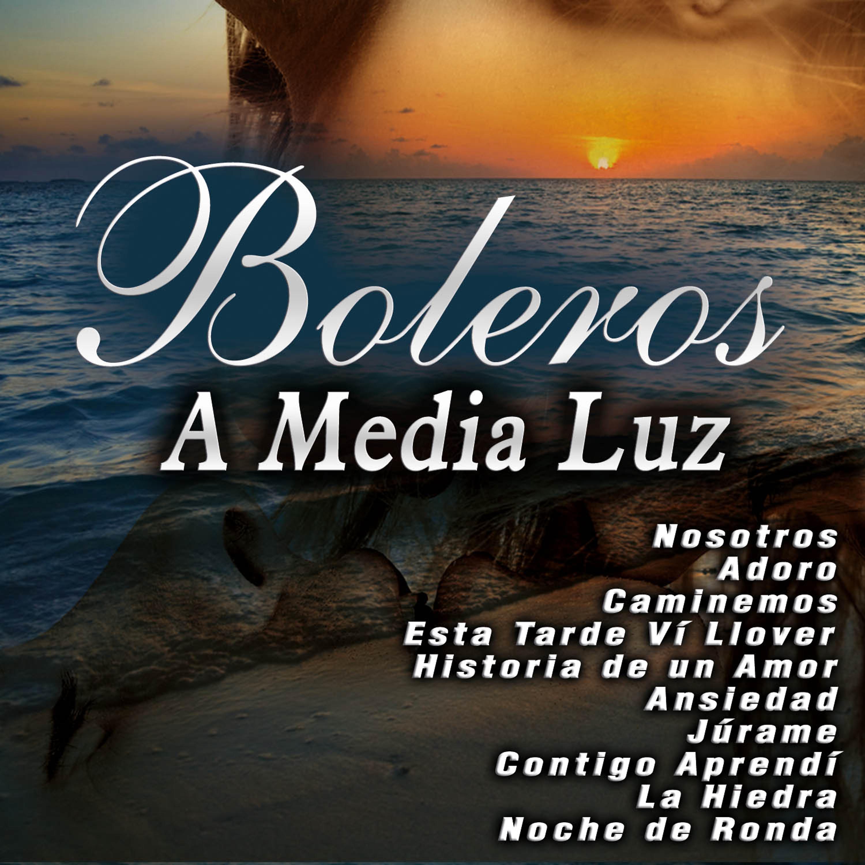Постер альбома Boleros a Media Luz