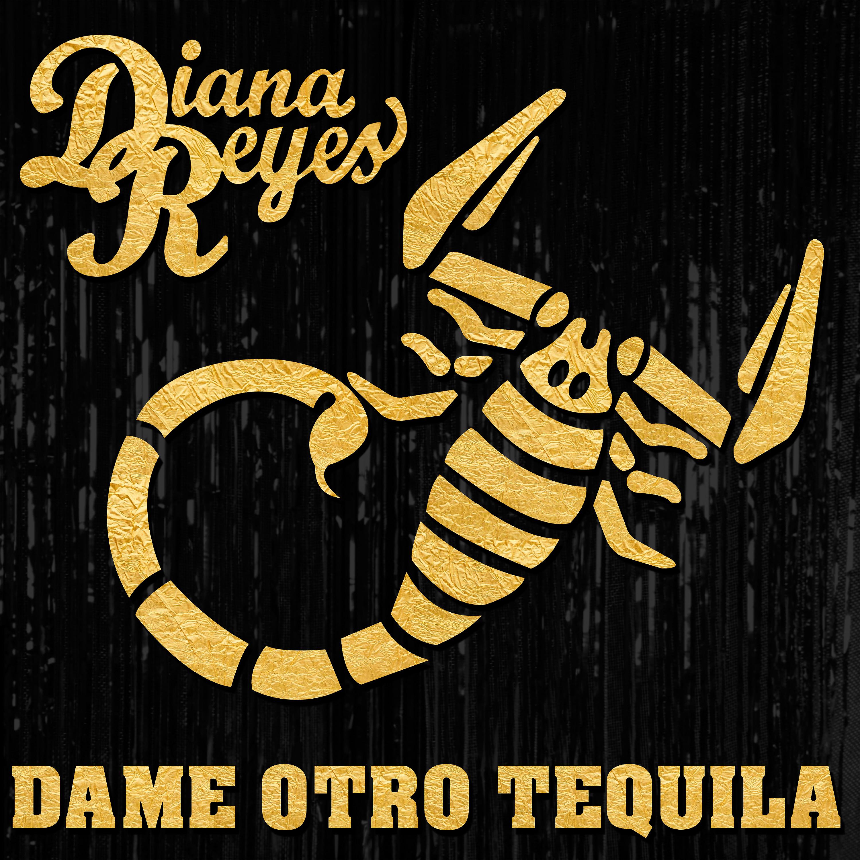 Постер альбома Dame Otro Tequila