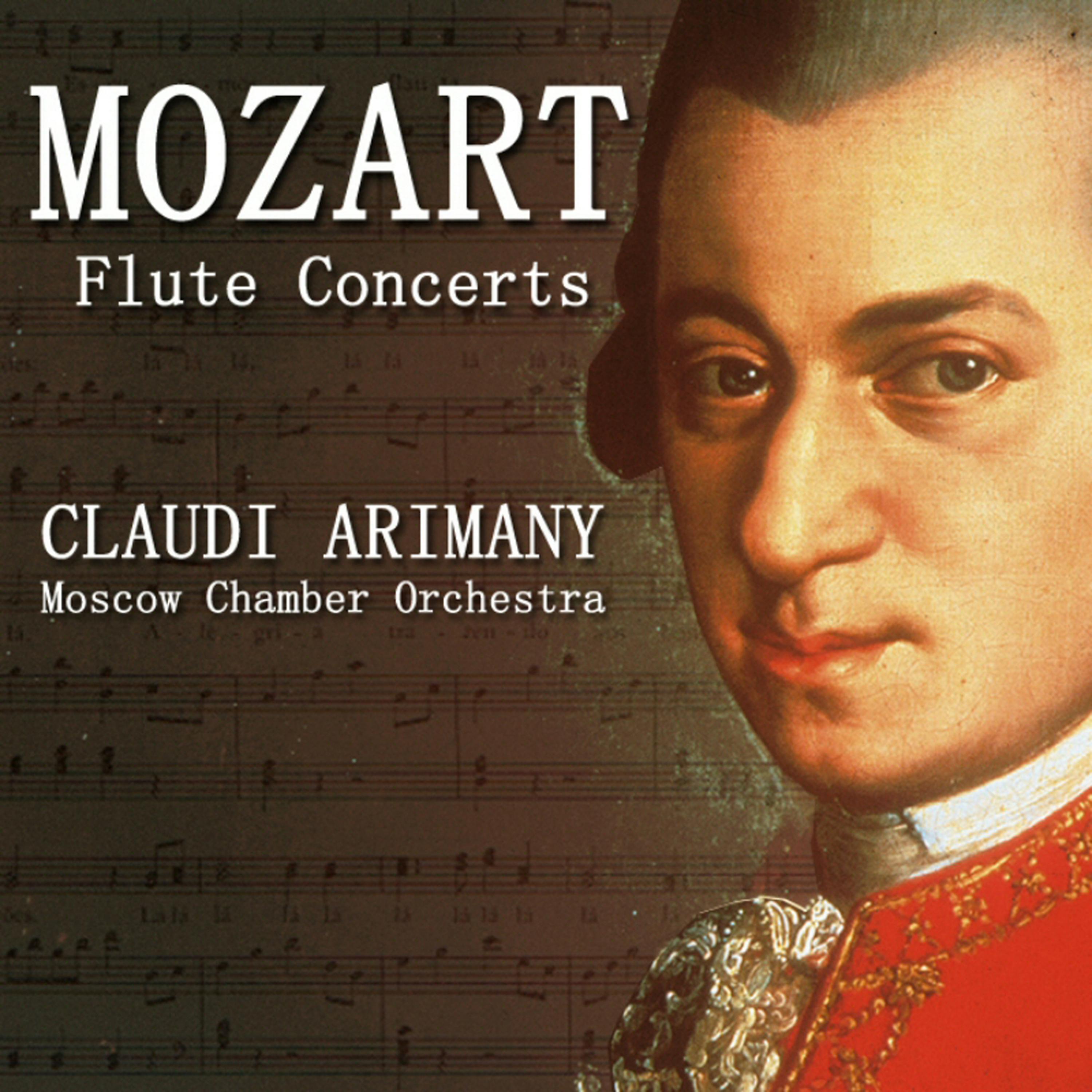 Постер альбома Mozart: Flute Concerts